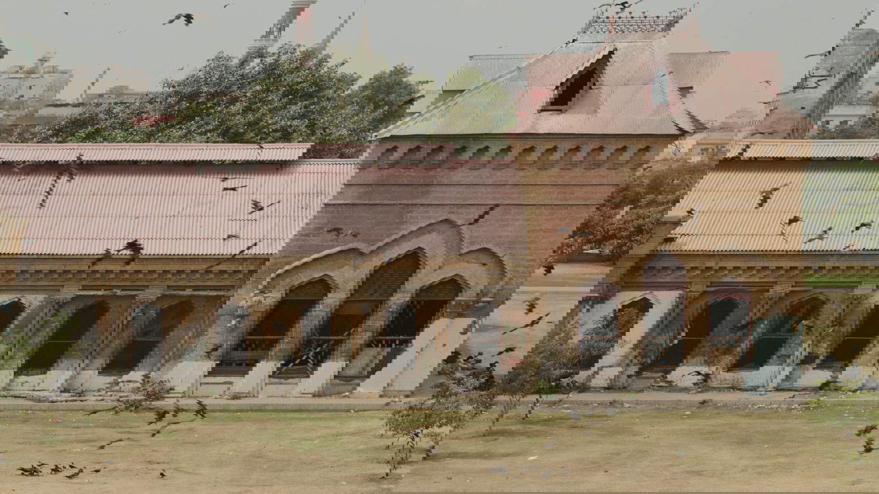 Elisa Caldana, The Falcon of Karachi (2024; fotogramma da video)