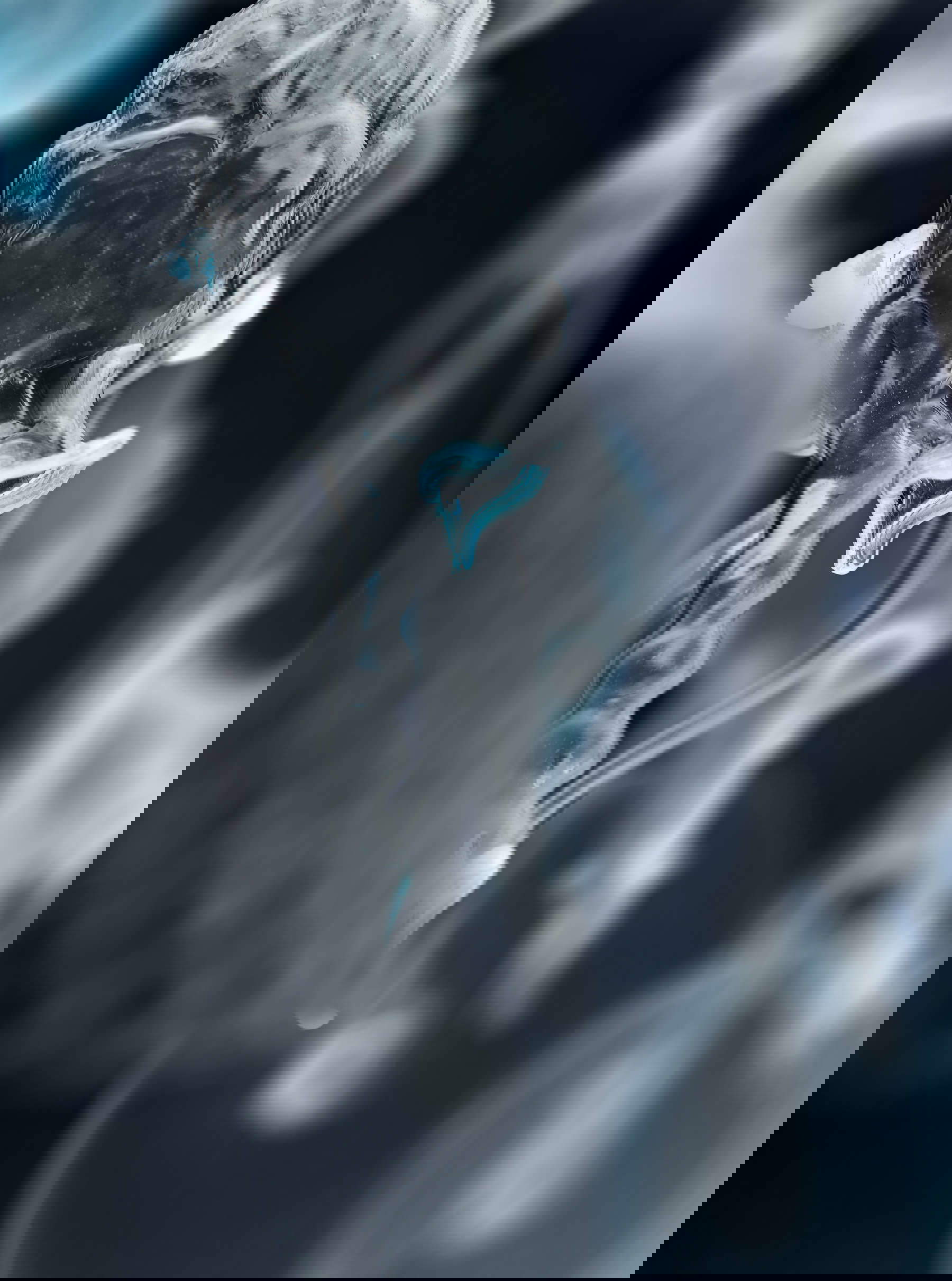 Elisa Sighicelli, Oris (2025; stampa fine art a pigmenti, 167 x 125 cm) Elisa Sighicelli, Oris (2025; stampa fine art a pigmenti, 167 x 125 cm)