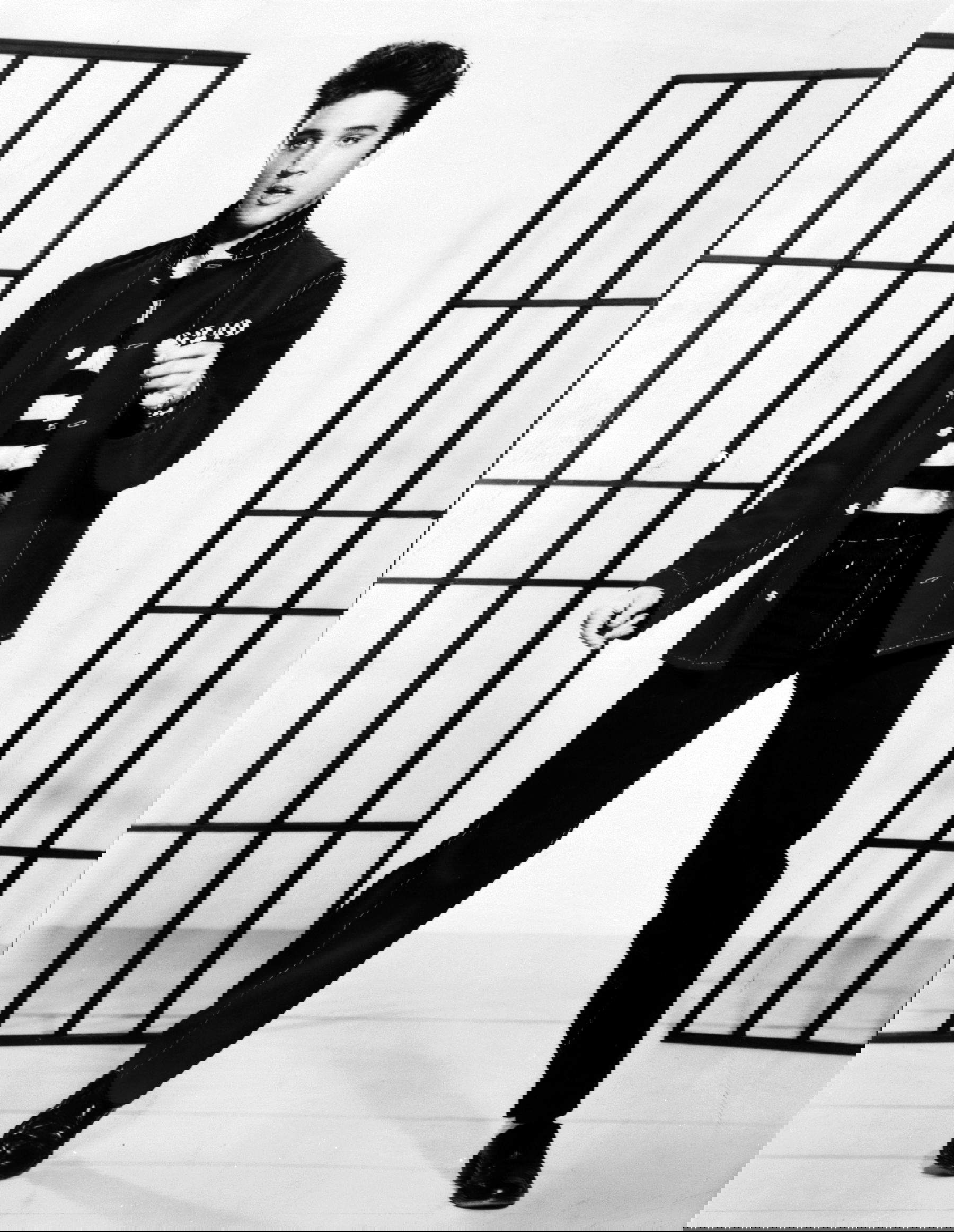 Elvis Presley, @Pixabay, Stockvault, CC0&nbsp;