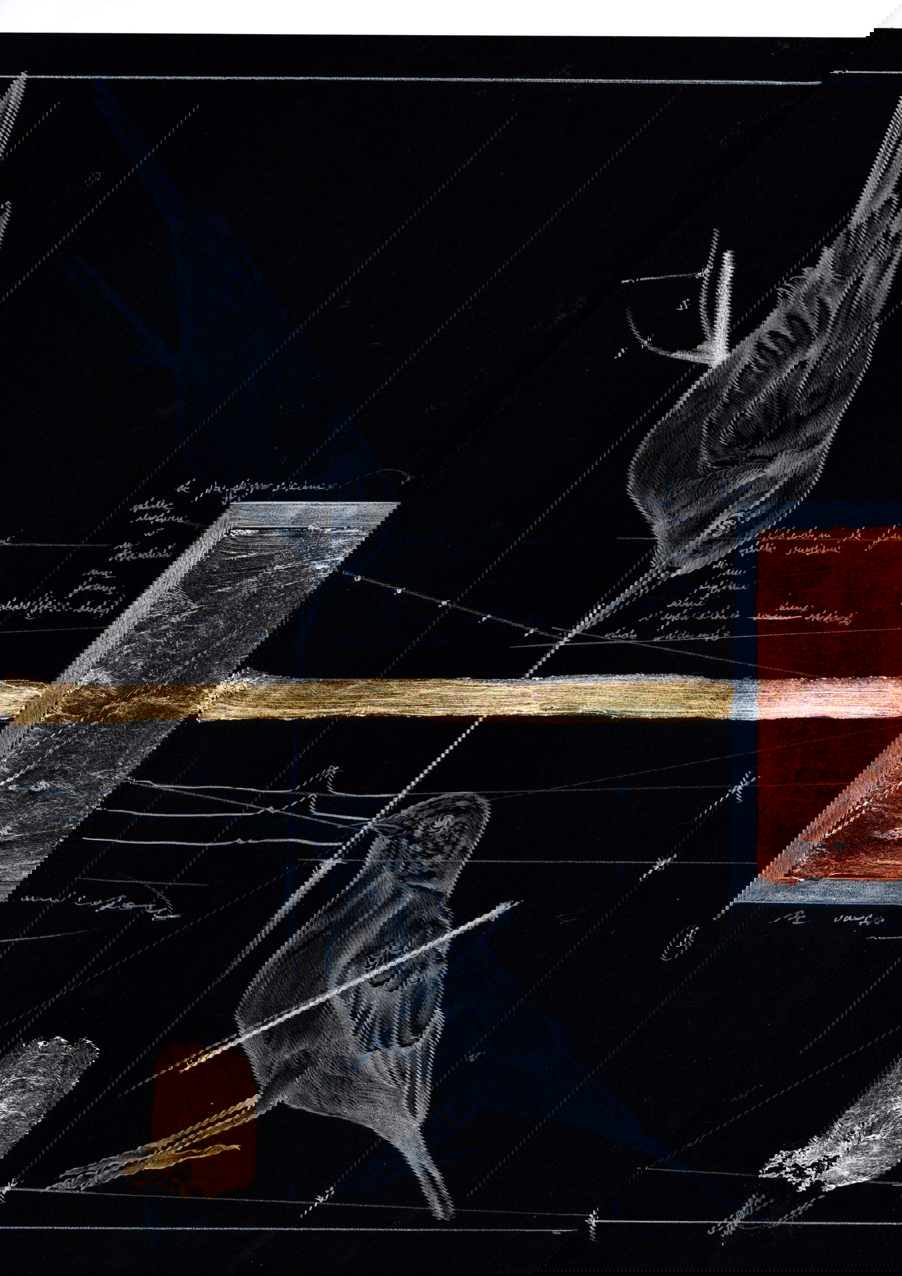 Fabrizio Cotognini, How to Explain to Birds that the Sun Belongs to Everyone (dettaglio) (2020; Libro d’artista, biacca e foglia d’oro 24K su carta nera, 41 x 300 cm)