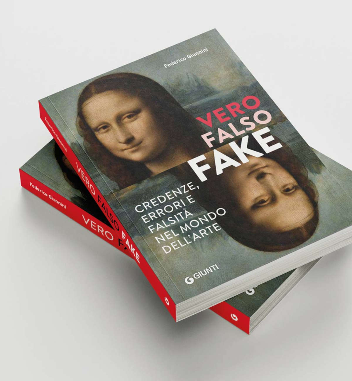 Federico Giannini, Vero, Falso, Fake