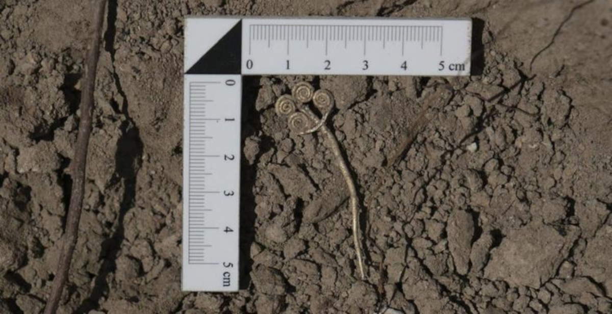 Troya, resurge un tesoro de 4.500 años de antigüedad: se descubren un broche de oro y una rara piedra de jade
