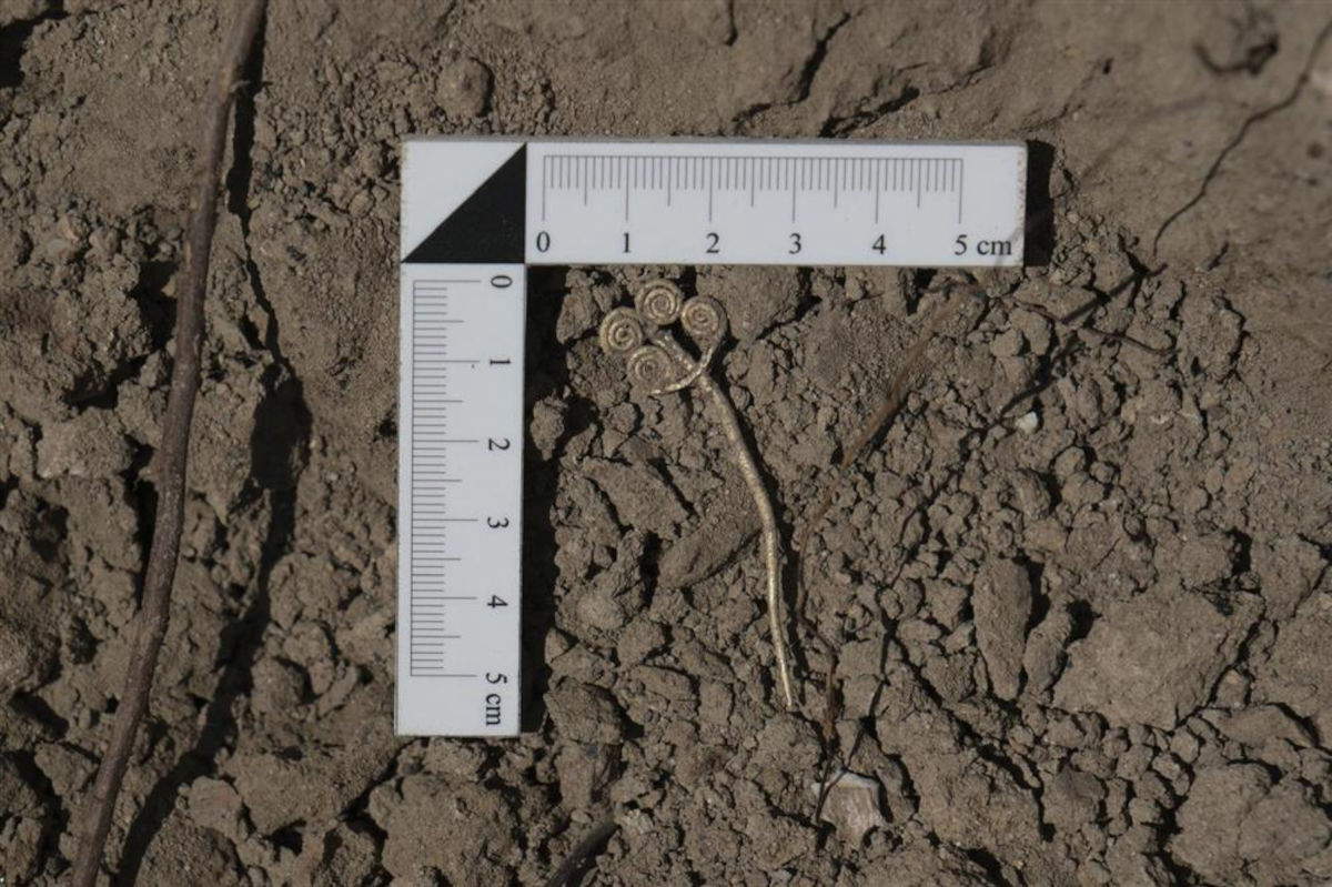 The 4,500-year-old gold hairpin found in Troy. Photo: &copy; Ministry of Culture and Tourism of the Republic of Turkey