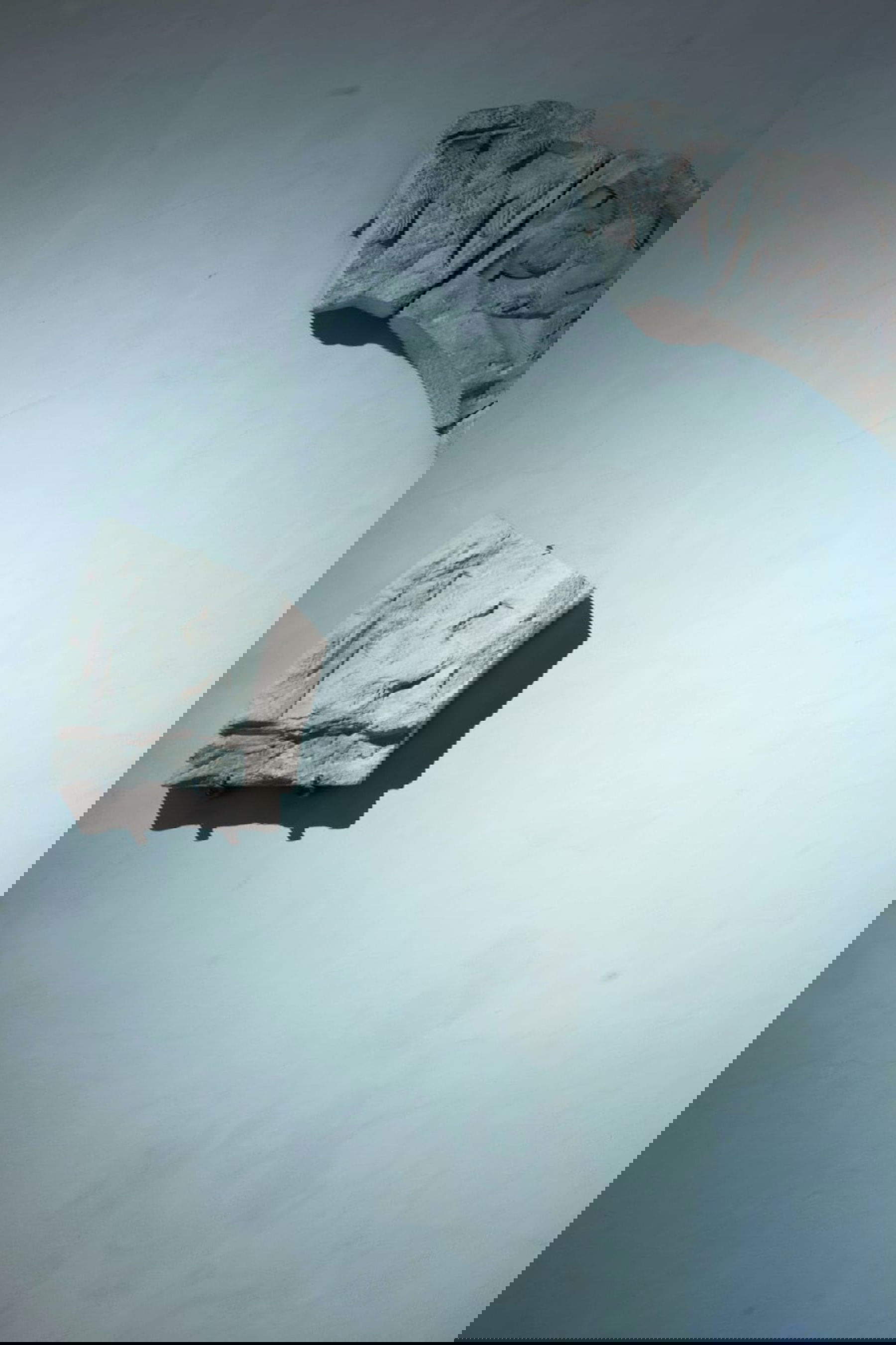 Ronja Schwarm, Fragments