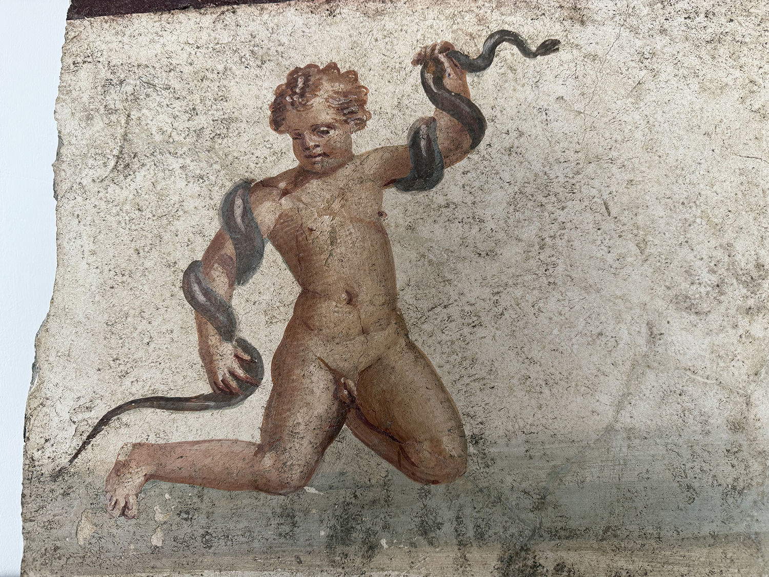 Das Fragment eines Freskos, das Herkules als Kind darstellt, das Schlangen würgt. Foto: Ministerium für Kultur - Archäologischer Park von Pompeji