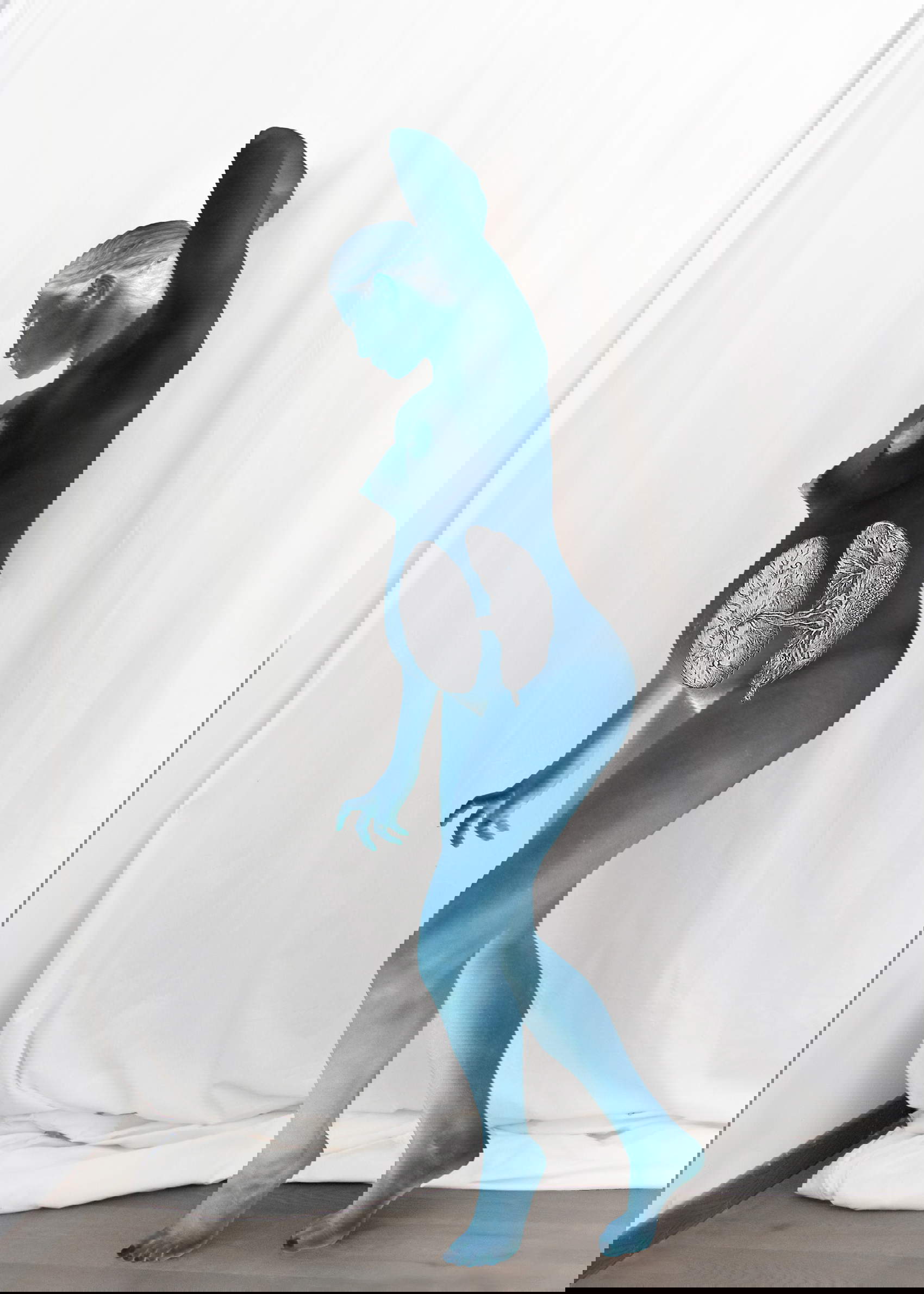 Francesca Catastini, Medusa dalla serie The Modern Spirit is Vivisective (2014)