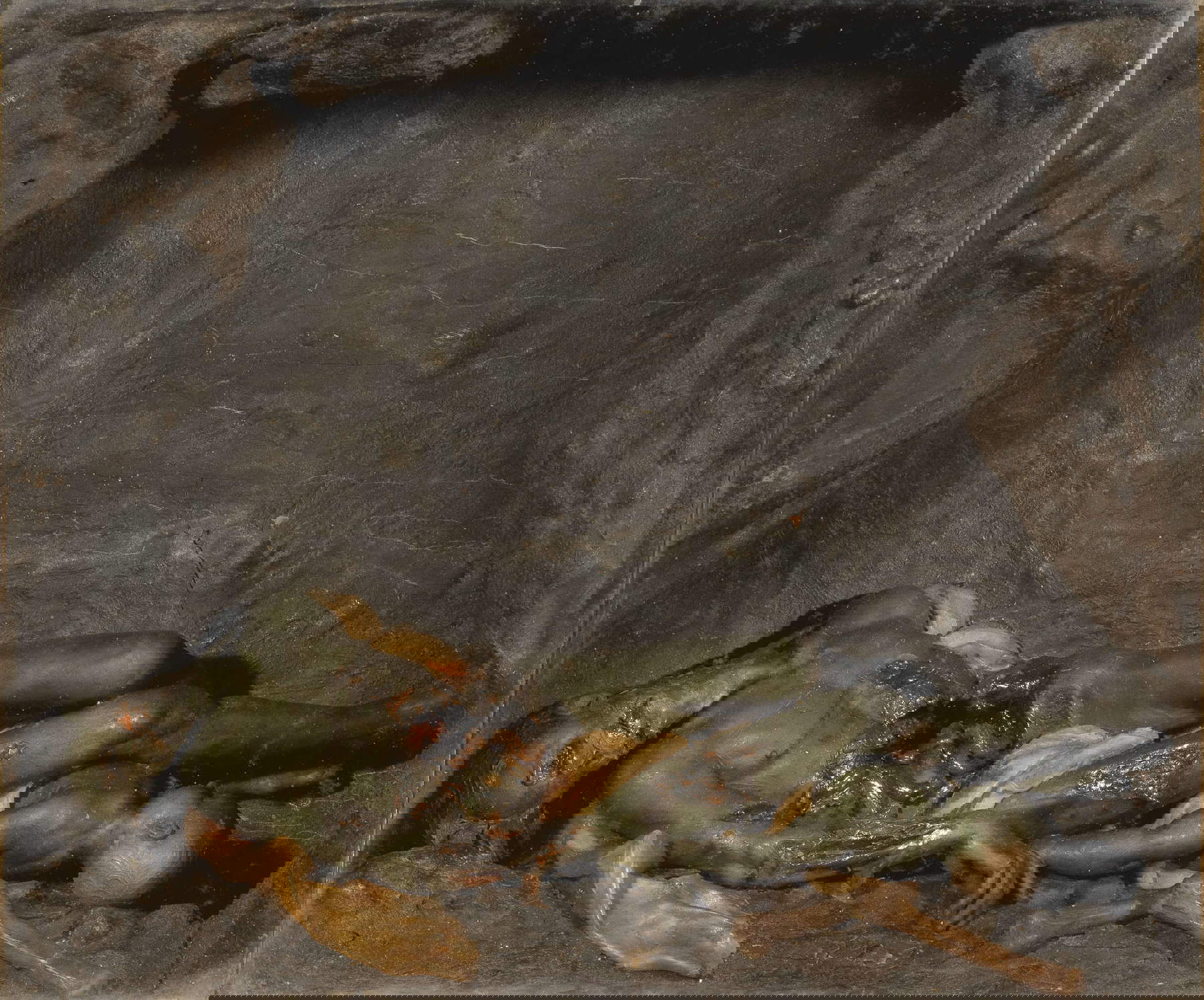 Gaetano Giulio Zumbo, Corruption des corps (1698 ; cire polychrome, 18 x 21,4 cm ; Florence, Galerie des Offices, Palais Pitti, Trésor des Grands Ducs)