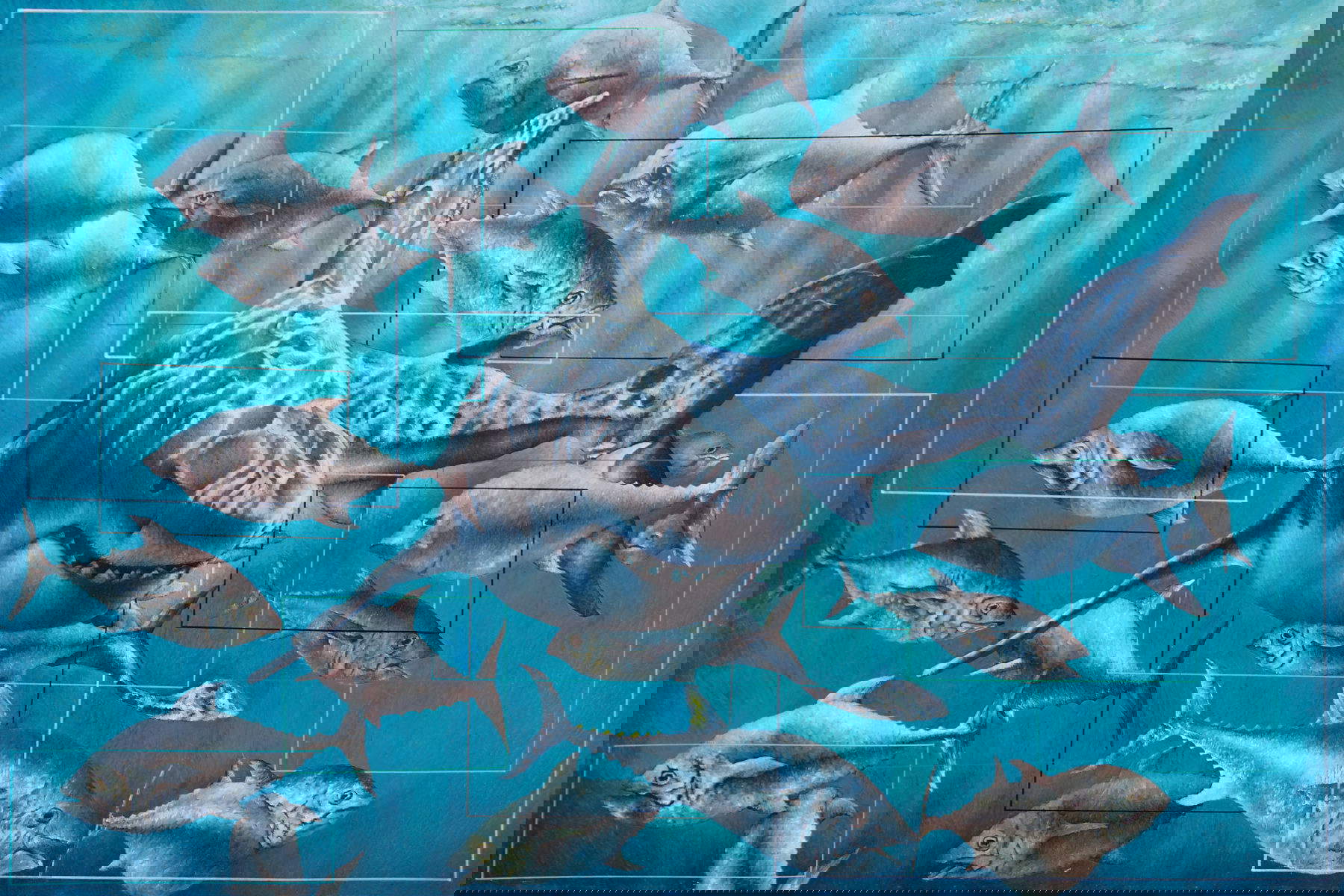 Giacomo Borzoni, Raramente sei squalo spesso tonno (2021; olio su tela, 100 x 150 cm)