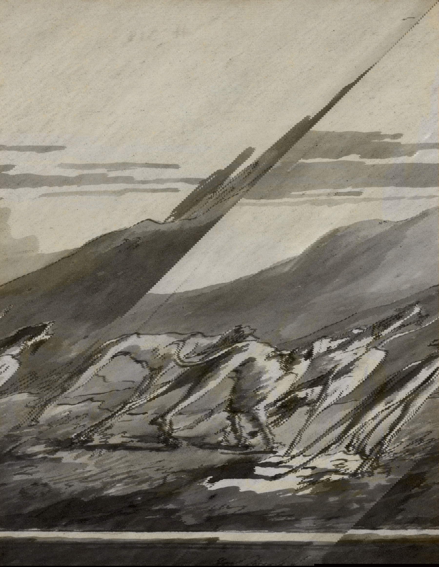 Giandomenico Tiepolo, Five Greyhounds (ca. 1790 - 1800; pen and gray ink, watercolor on paper; Abano Terme, Museo Villa Bassi Rathgeb)