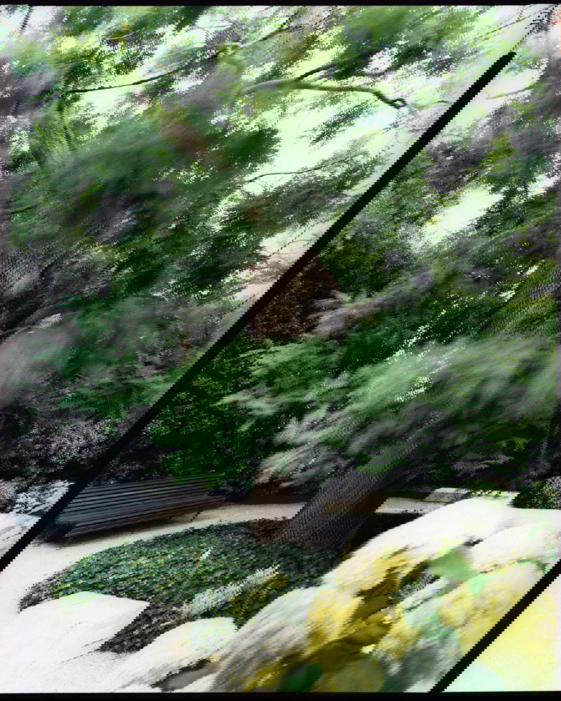 Jardines Reales de Venecia