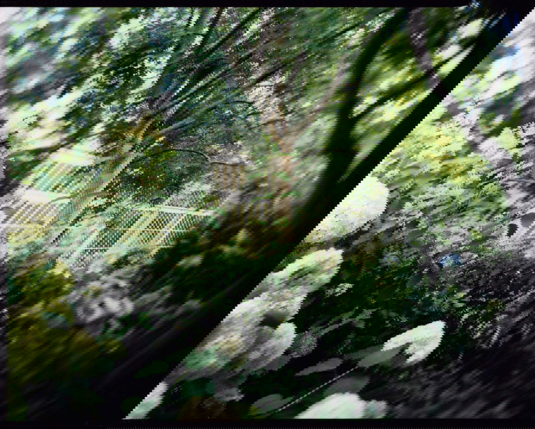 Jardines Reales de Venecia