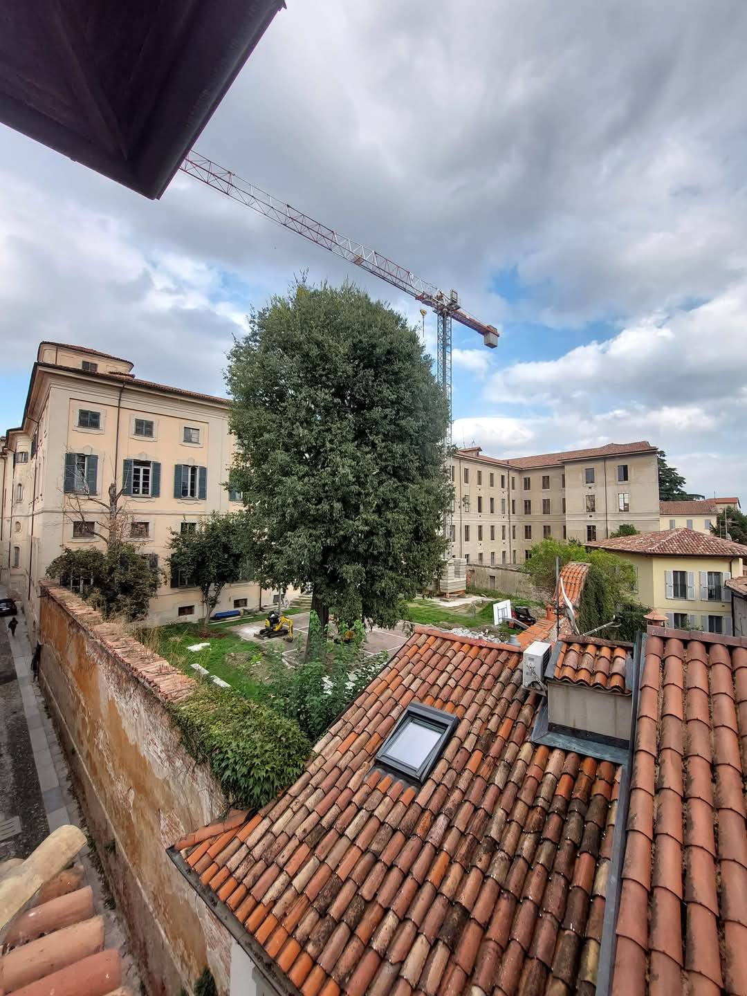 The garden of Olevano Palace before the work