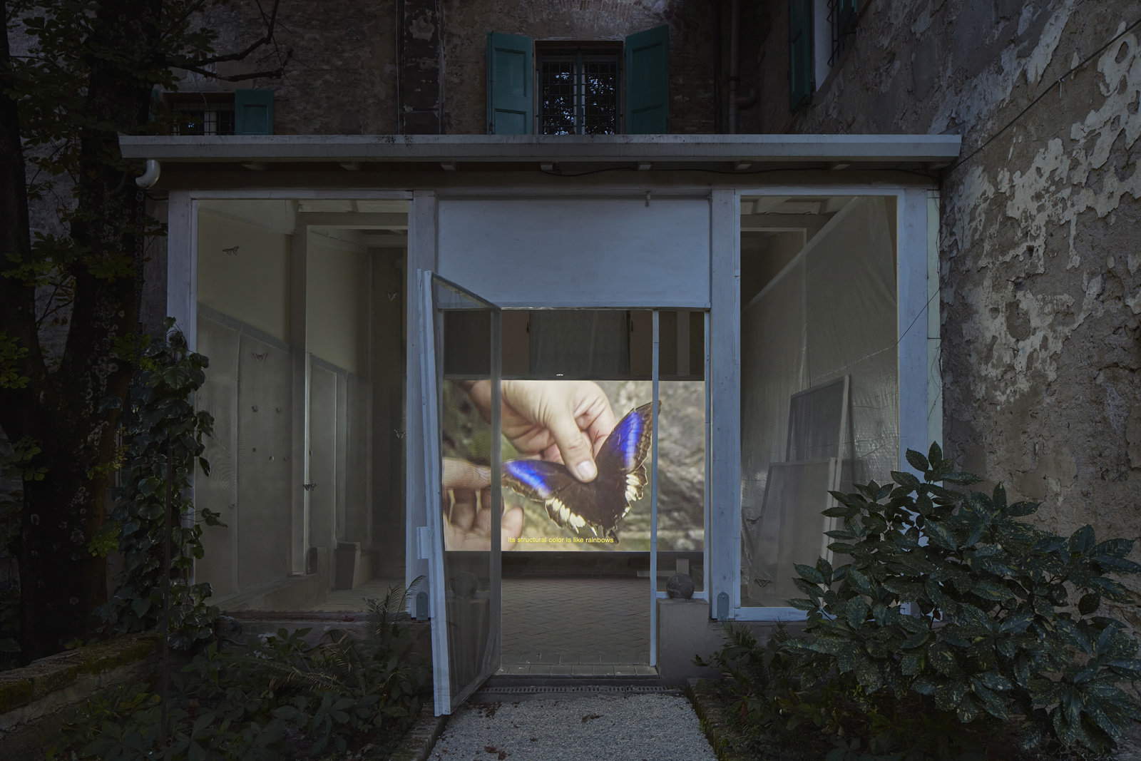 Giorgio Andreotta Calò, ΊΚΑΡΟΣ (Icarus), veduta dell’installazione (2020-2021; Bologna, Palazzo Bentivoglio). Foto: Carlo Favero