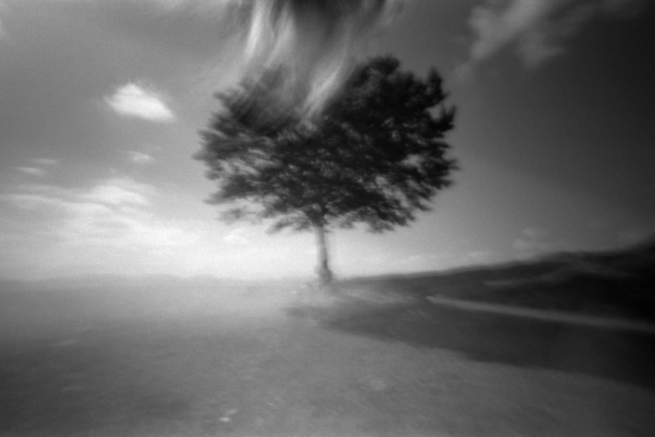 Giorgio Cutini, Intimità