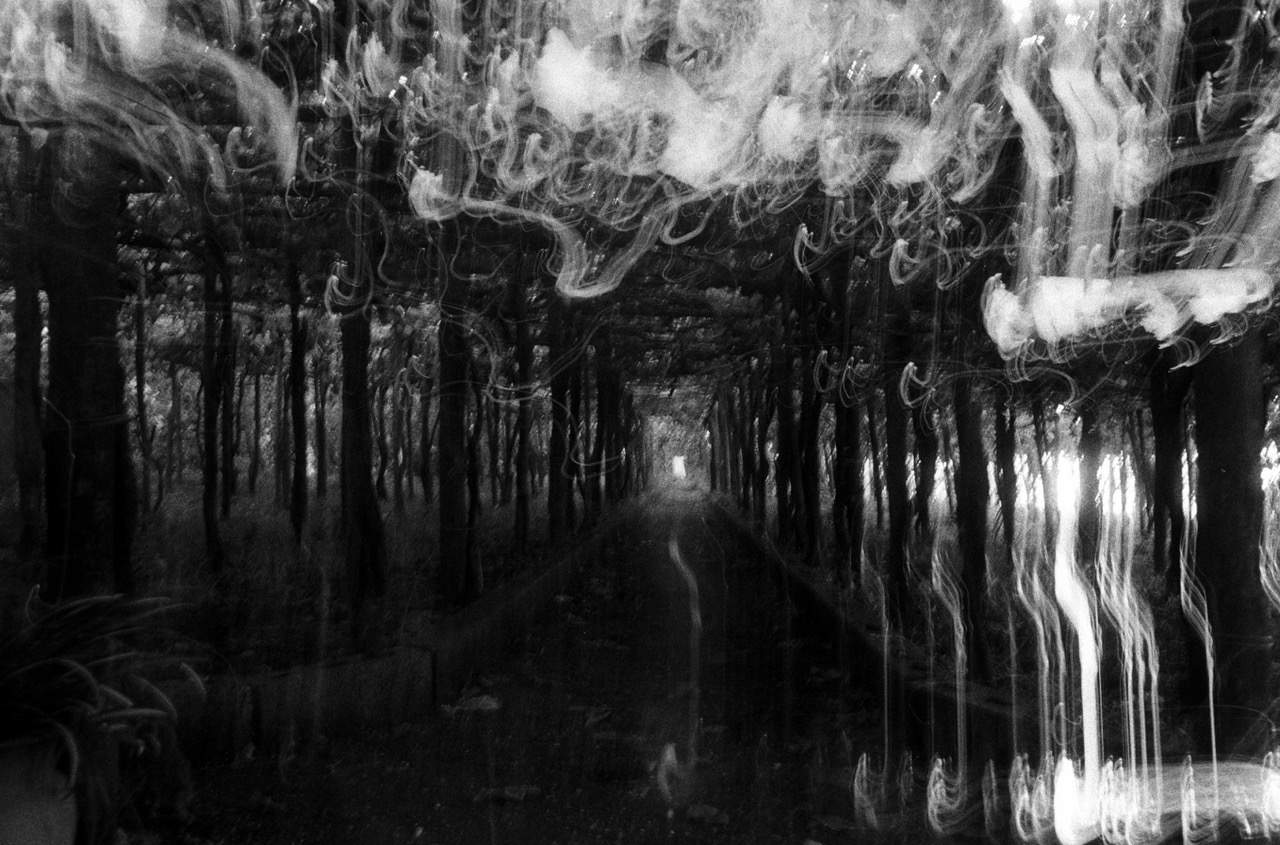 Giorgio Cutini, Inquietudine, Viale delle idee