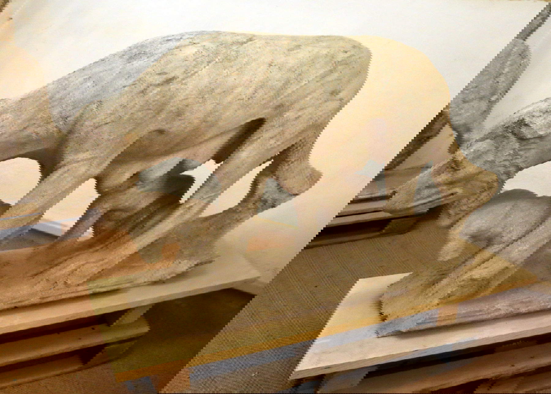 Giovanni di Stefano, Lupa Senese allattante. Foto: Francesco Bini