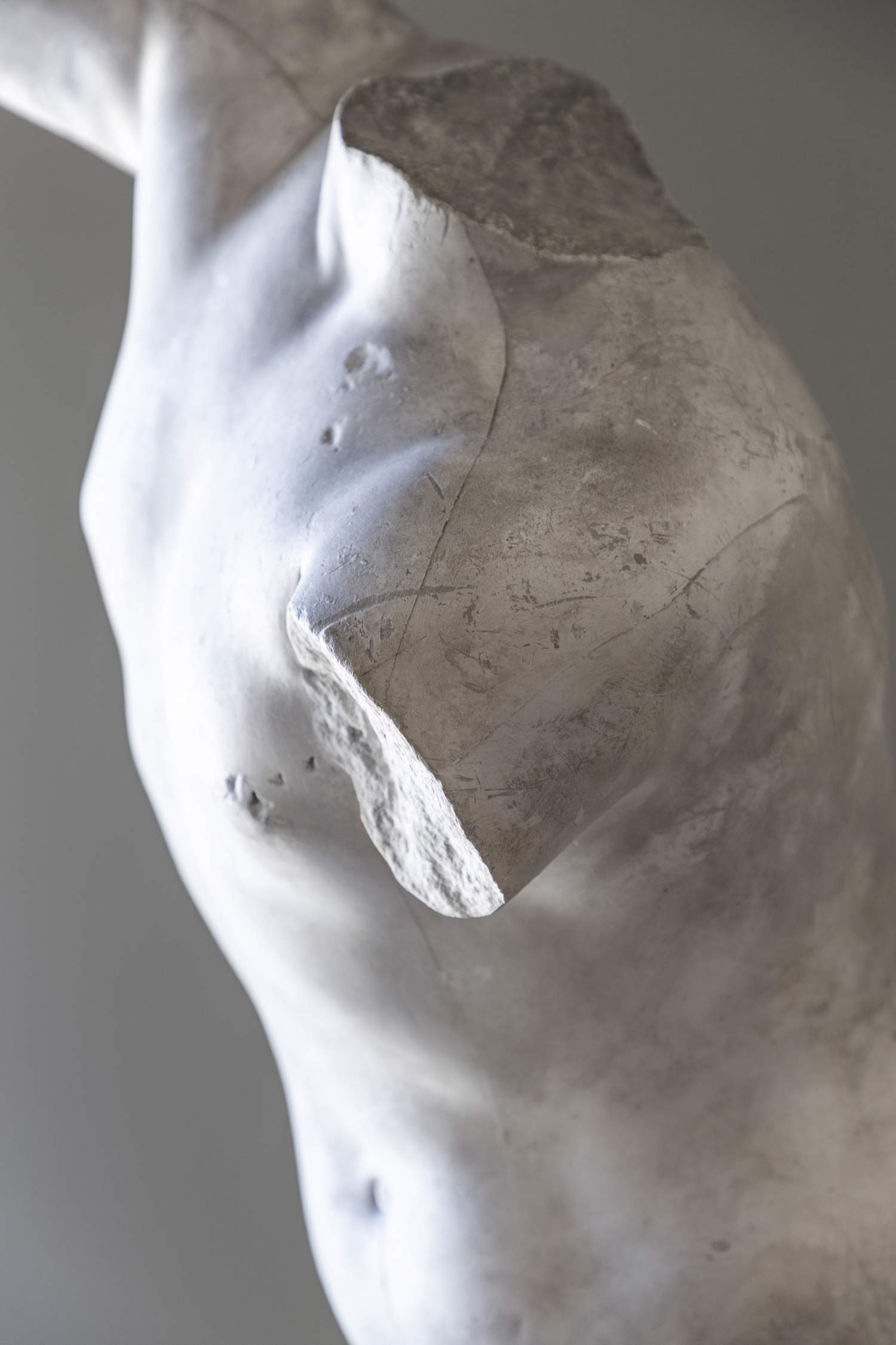 Gipsoteca de la Academia de Bellas Artes de Venecia, detalle