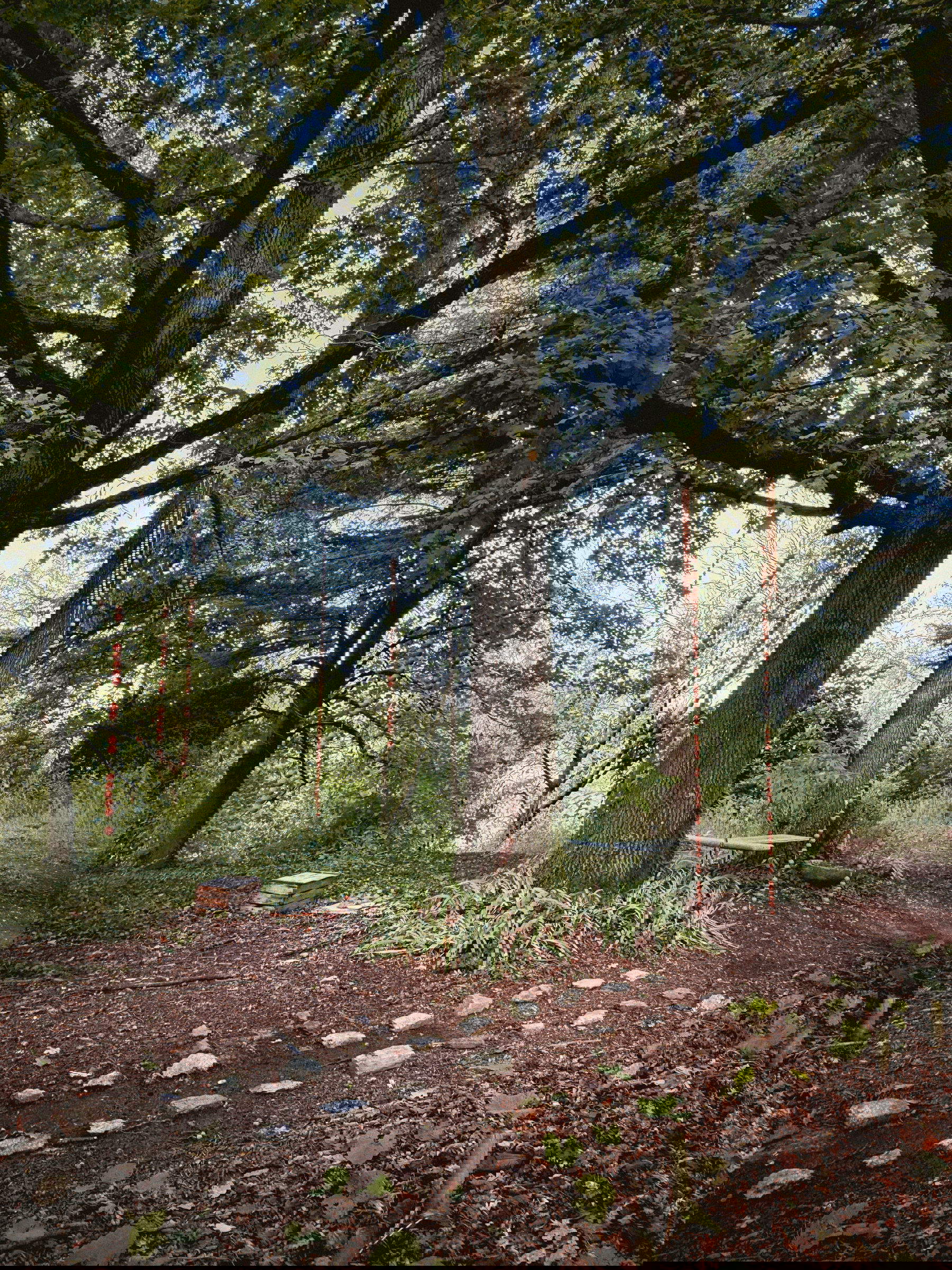 Giulia Forgione, Donarsi alle rocce (2025; argilla locale proveniente da una roccia sedimentaria chiamata marna, dimensioni ambientali; Castagnole Monferrato, Casa degli Alfieri) Foto: Chiara Ferrando