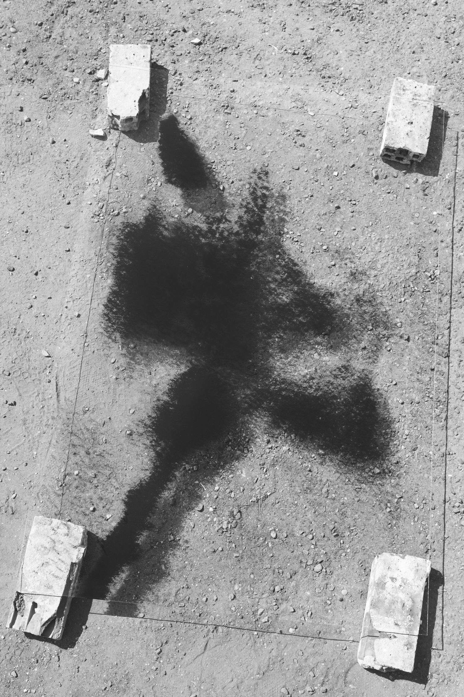 Giuseppe Gabellone, Fiore (2011; Two-color silkscreen on paper, frame, glass, 172 x 132 x 5 cm) Courtesy of the artist and greengrassi, London