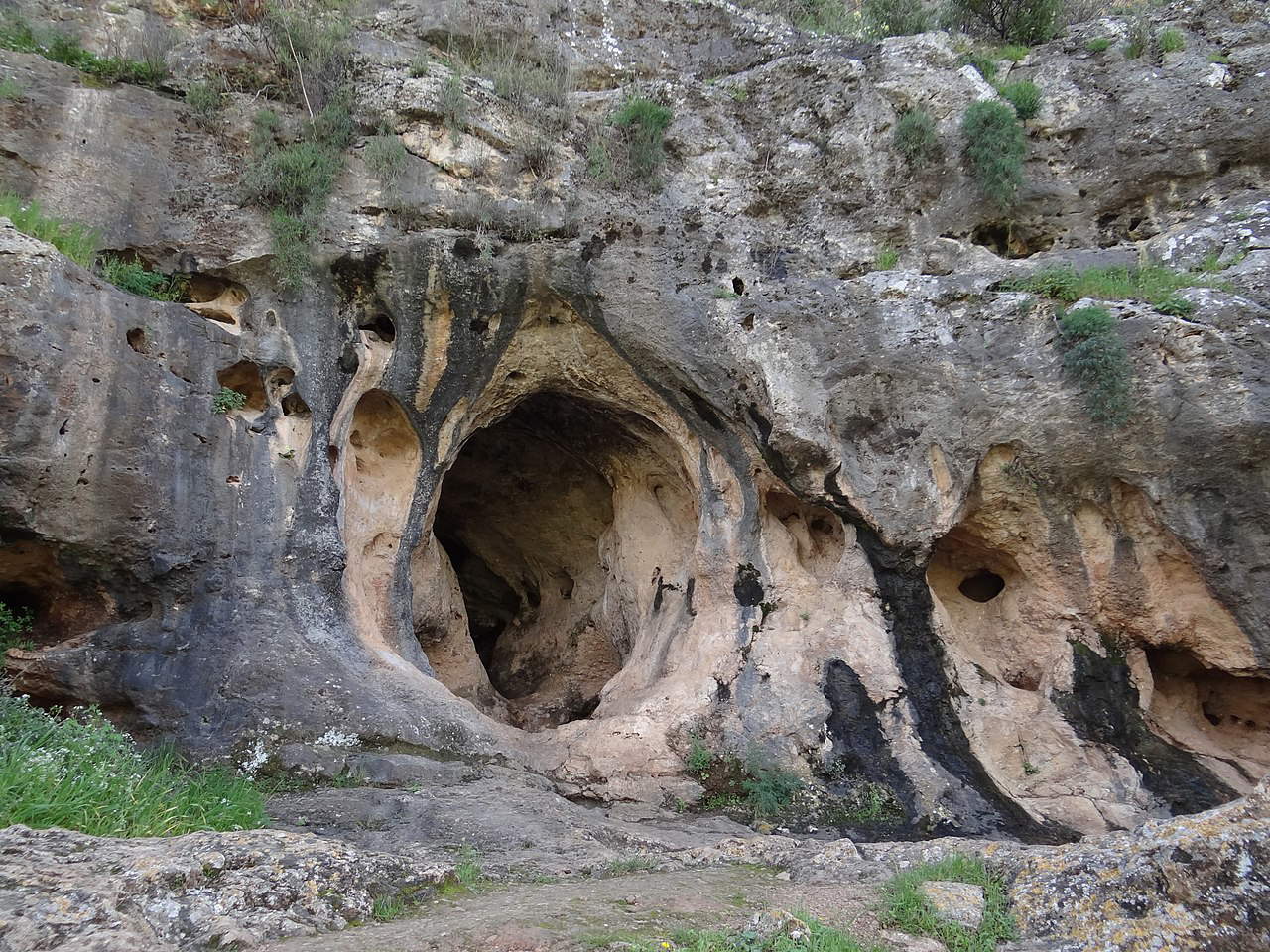 Discovery on Mount Carmel of the oldest known cross between Homo Sapiens and Neanderthals
