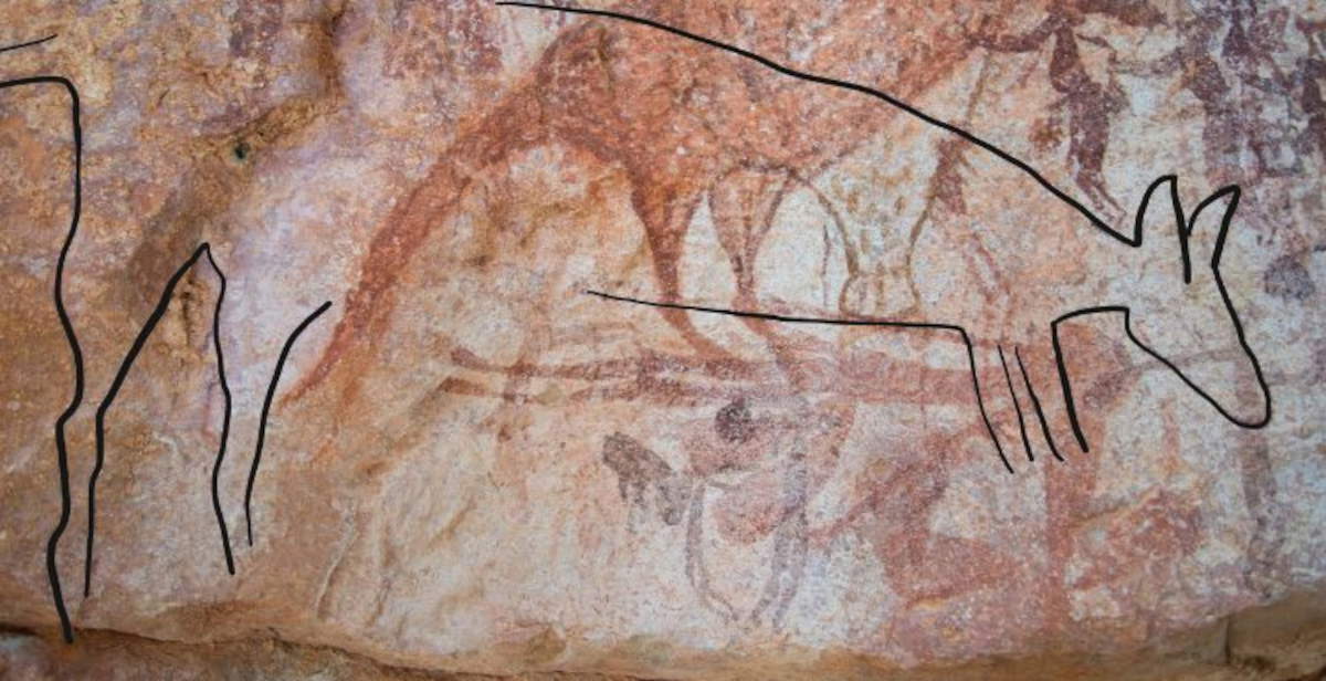 Nouveau style de roche aborigène découvert dans le Kimberley, en Australie occidentale