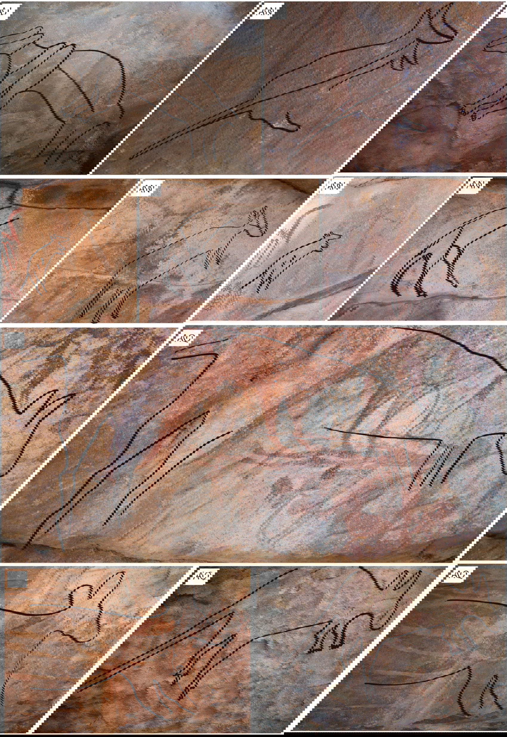 Esempi di gruppi di forme corporee uniche per le figure naturalistiche lineari. Si noti il caratteristico contorno continuo e semplice e la mancanza di riempimento (figura di Ana Paula Motta).