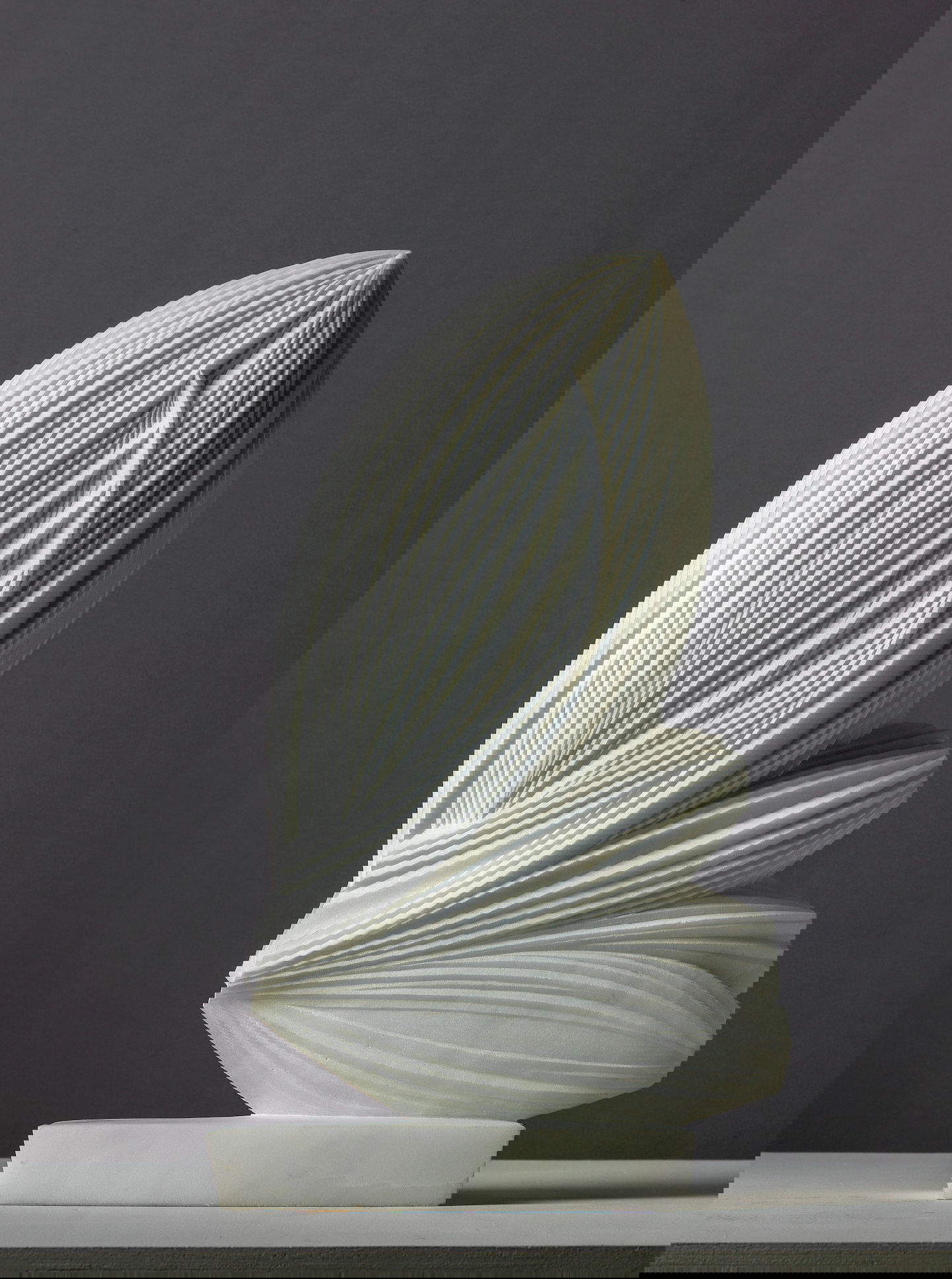 Gigi Guadagnucci, Germination. Foto: Enrico Amici