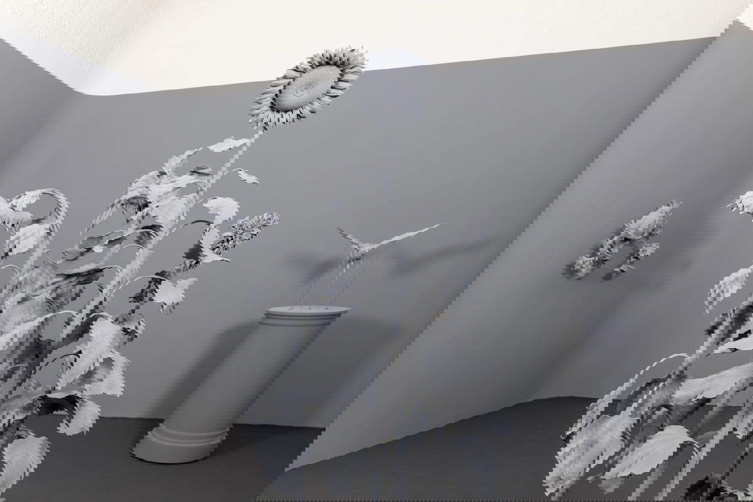 Aménagement de l'exposition