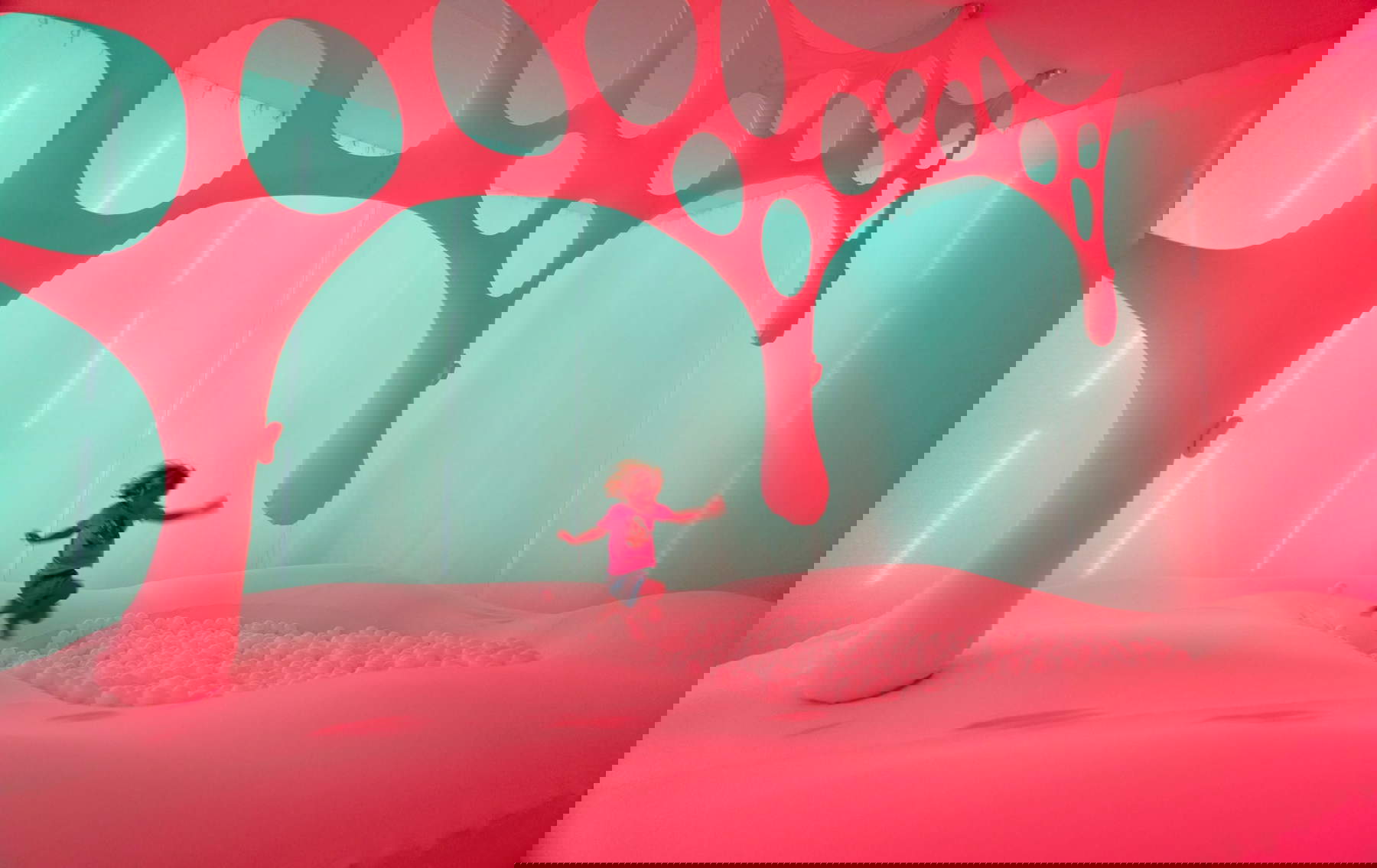 Allestimenti. Foto di David Levene