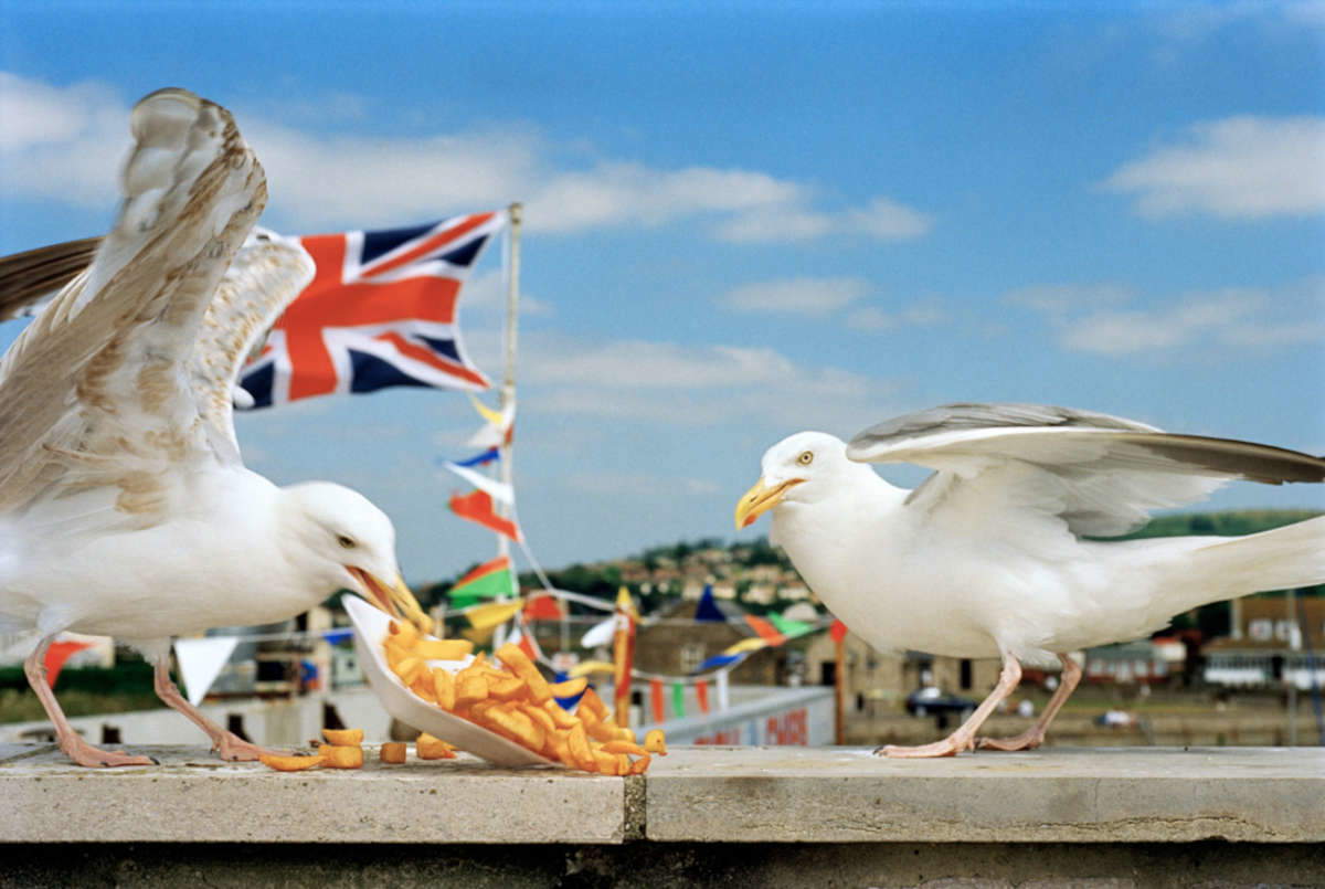 Coming to theaters documentary on contemporary photographer Martin Parr