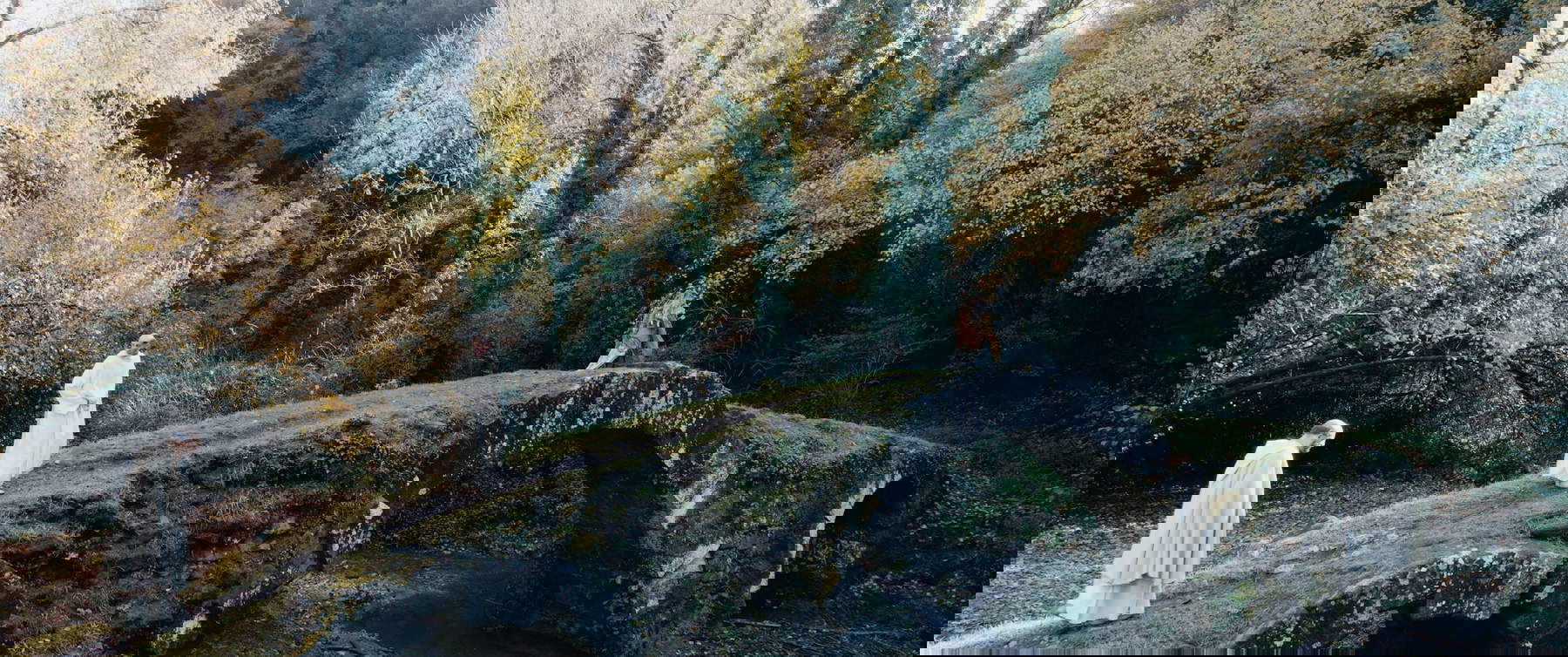 El monje que conquistó el Apocalipsis