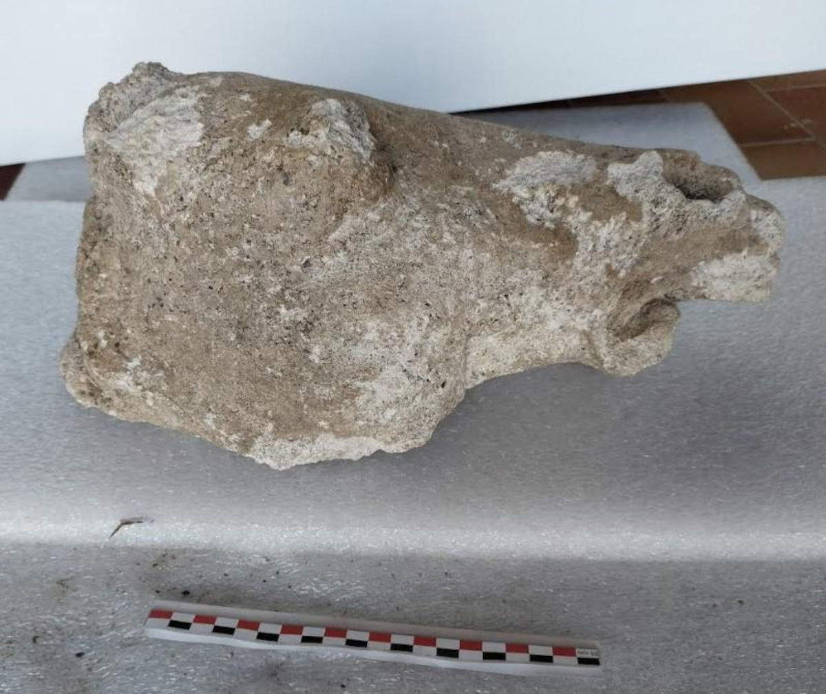 Testa del cavallo della statua equestre, vista dal lato destro. &copy; Inrap