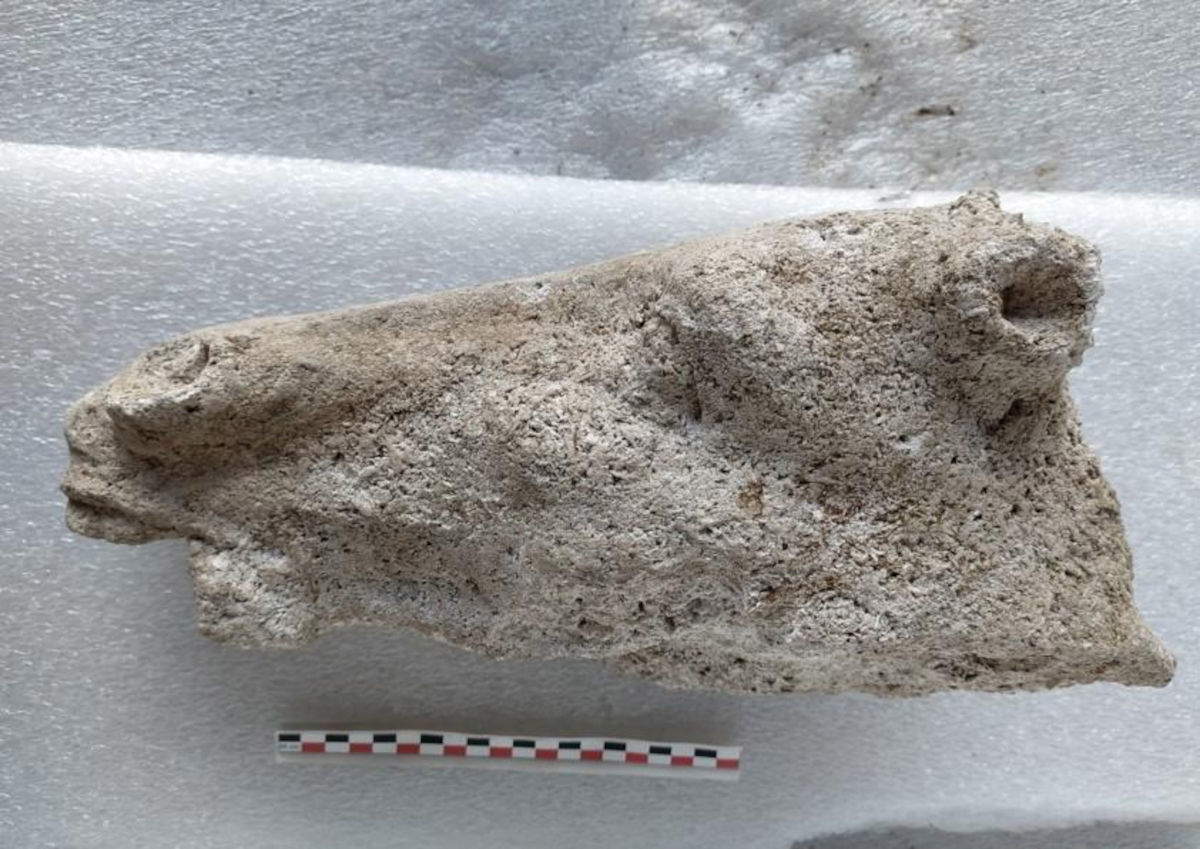 Testa del cavallo della statua equestre, vista dal lato sinistro. &copy; Inrap