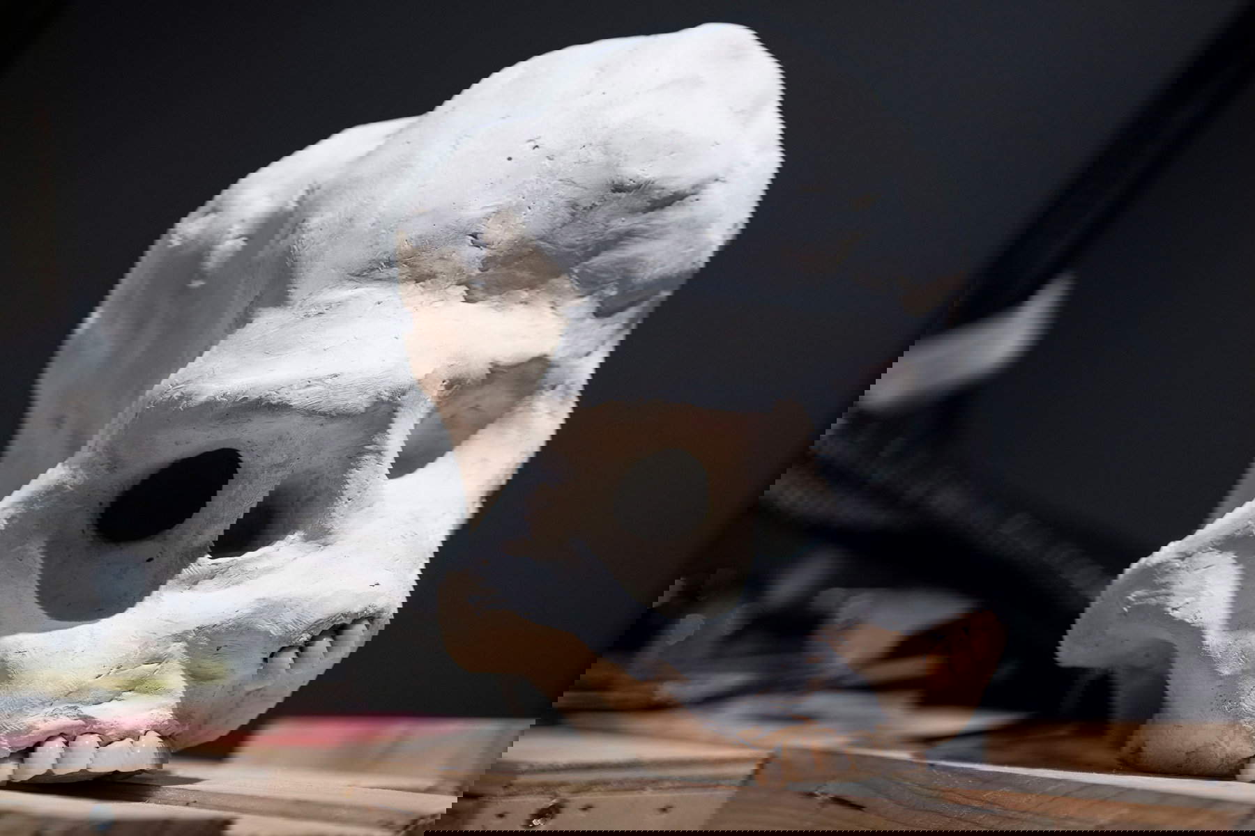 Jacopo Benassi on display in Genoa