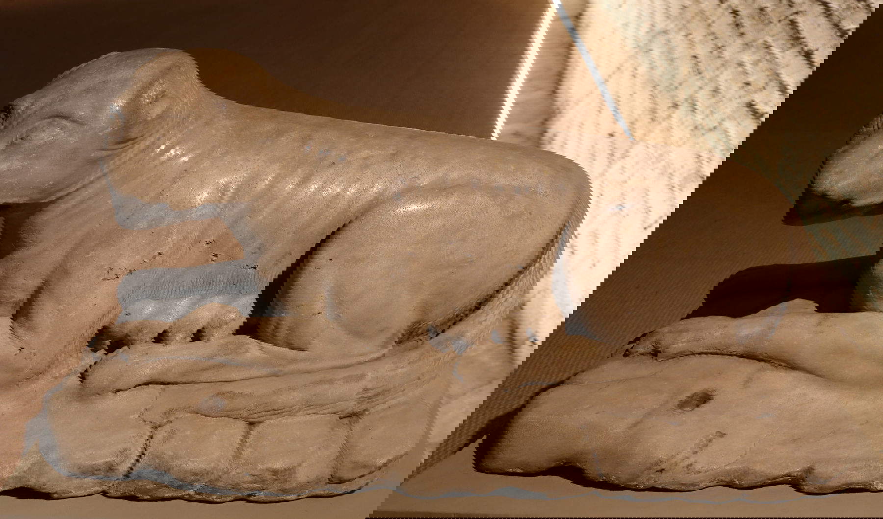 Jacopo della quercia, Lupa Senese (1414-1418) Foto: Francesco Bini