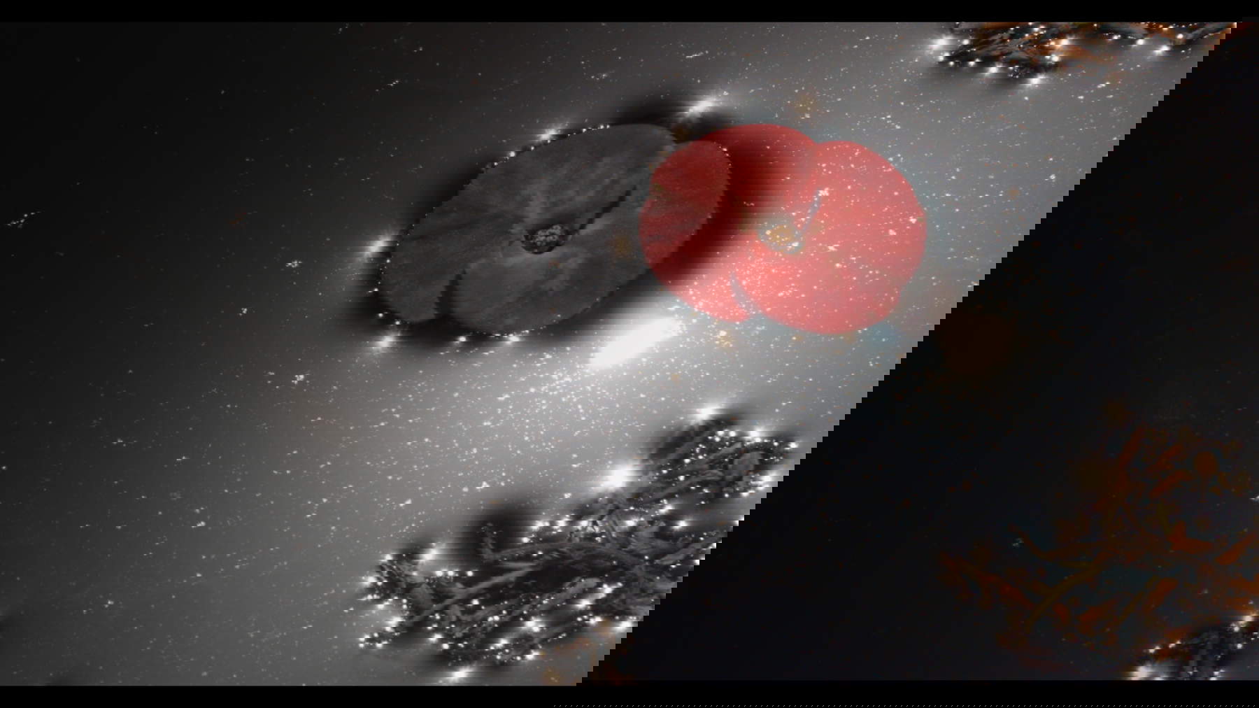 Amar Kanwar, The Peacock&rsquo;s Graveyard (2023; still, Digital video installation, 7 screens, dimensions variable, 28 mins, 16 sec (sync, loop), edition of 6). &copy;Amar Kanwar. Su concessione di Marian Goodman Gallery