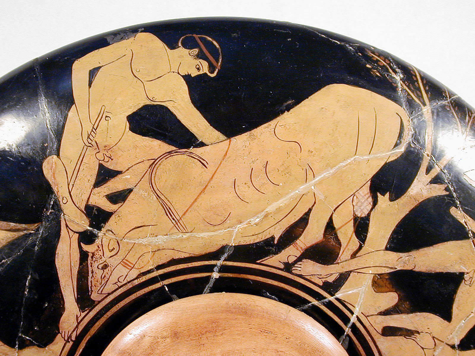 Teseo e il toro di Maratona Teseo e il toro di Maratona