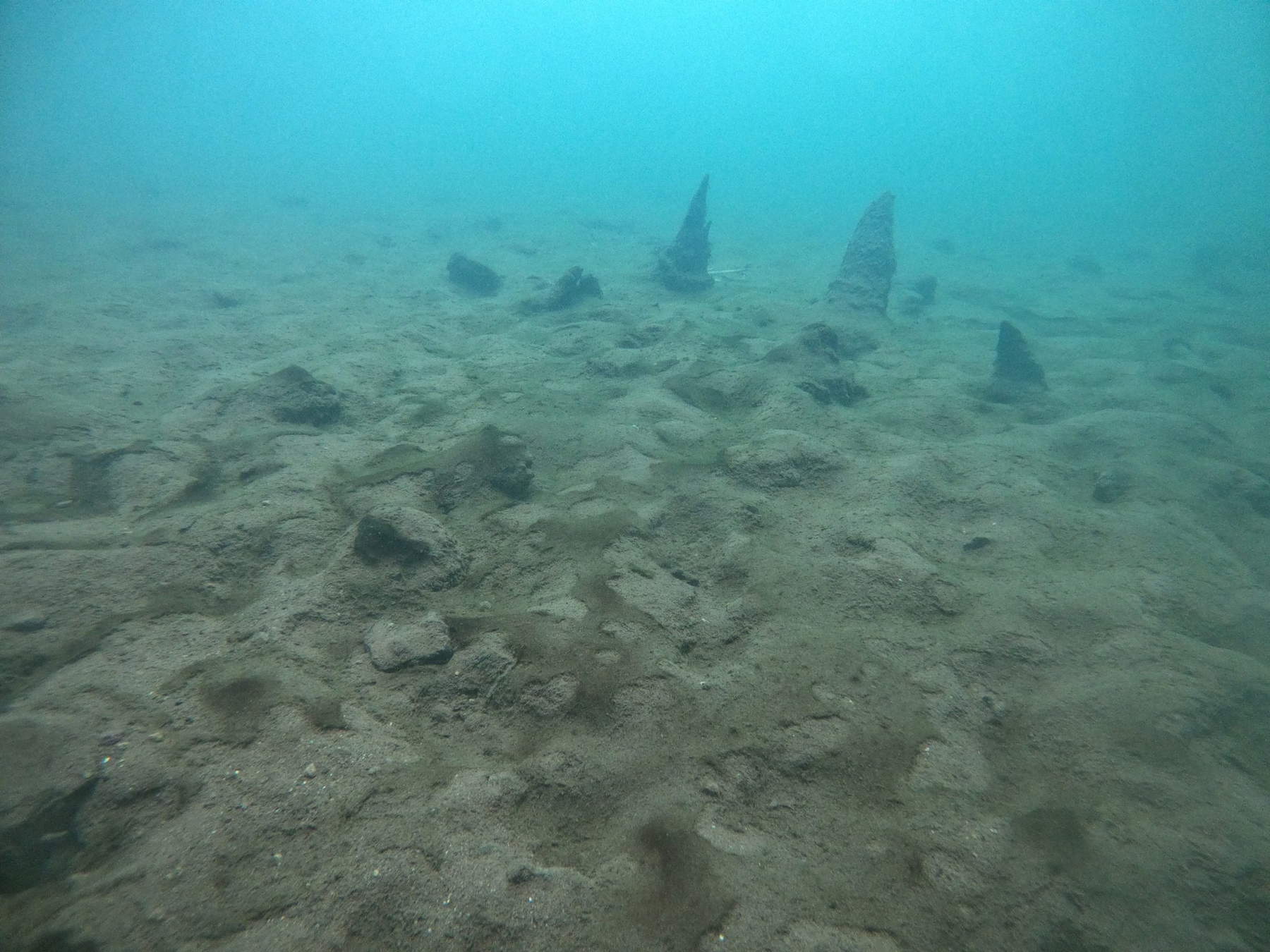 Archaeological excavations at the submerged site of Lake Mezzano (Viterbo). Photo: Ministry of Culture - Soprintendenza Archeologia Belle Arti e Paesaggio for the province of Viterbo and Southern Etruria.