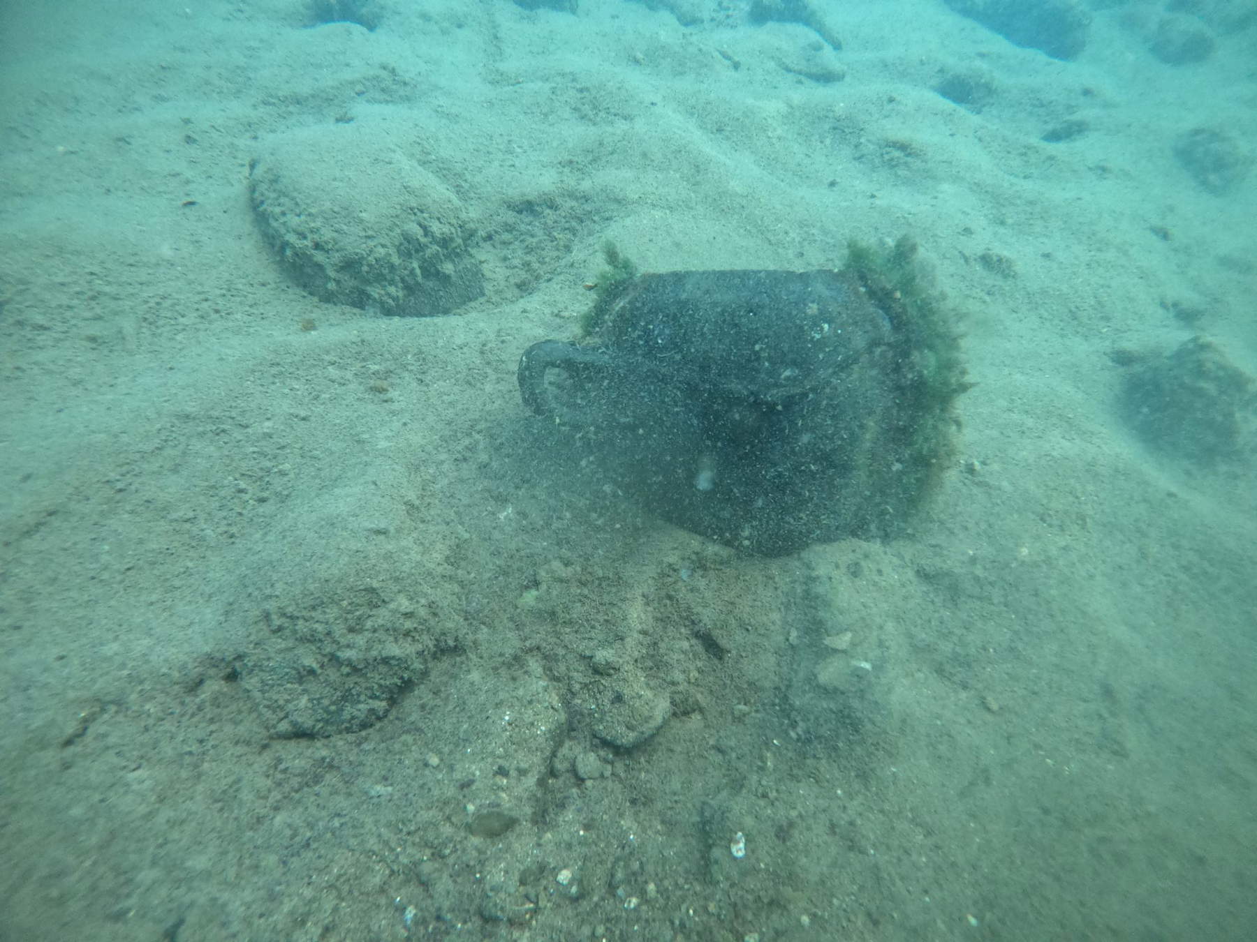 Archaeological excavations at the submerged site of Lake Mezzano (Viterbo). Photo: Ministry of Culture - Soprintendenza Archeologia Belle Arti e Paesaggio for the province of Viterbo and Southern Etruria.