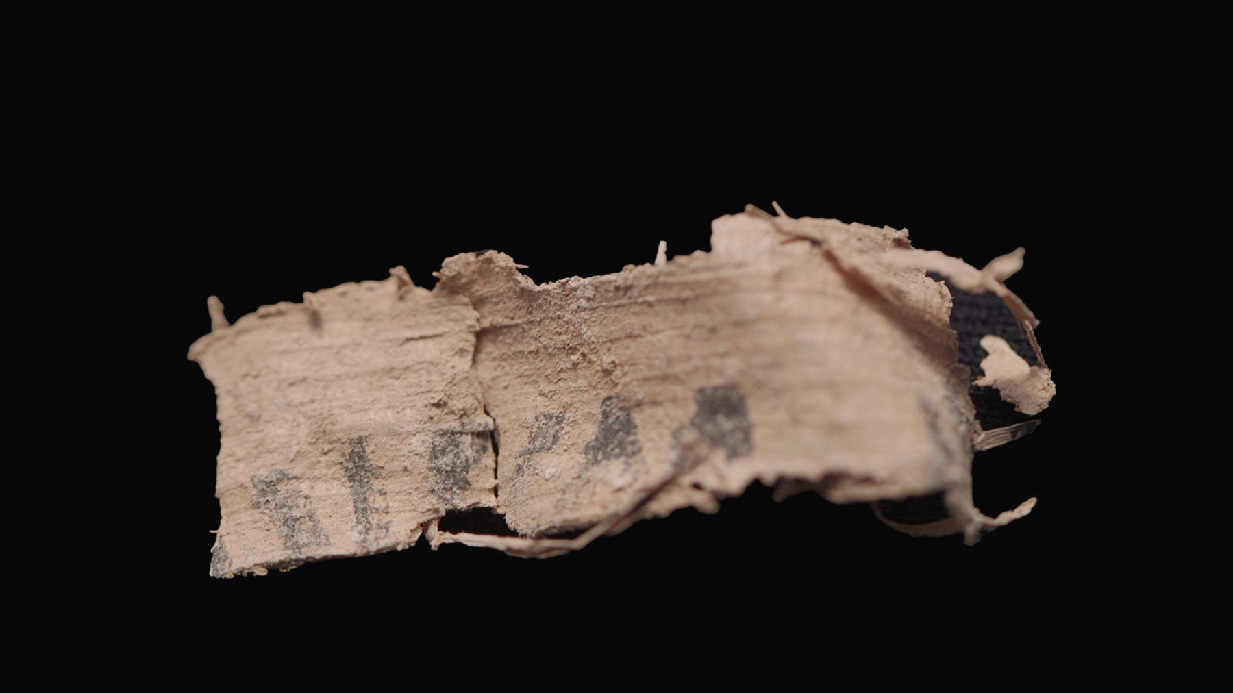 Un pezzo di papiro con scrittura greca trovato dai volontari degli scavi. Fotografia: Emil Aladjem, Israel Antiquities Authority.