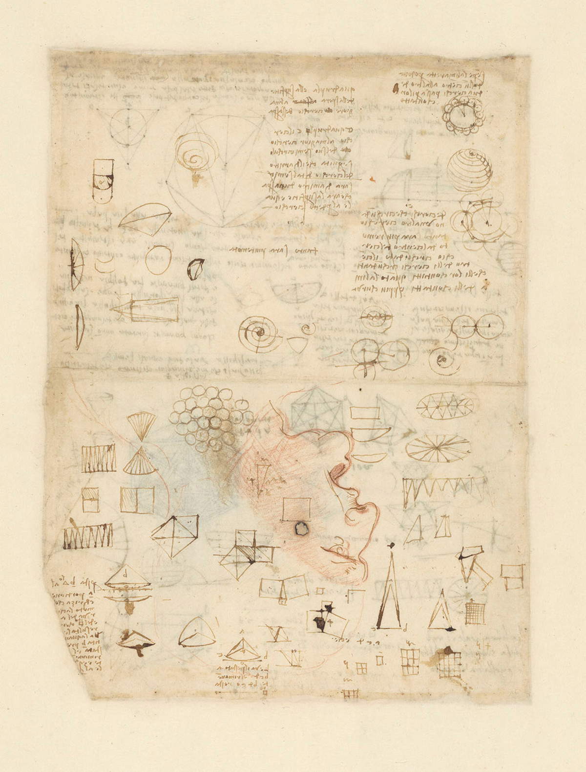 Leonardo da Vinci (1452-1519) Codex Atlanticus, folio 518 verso. Estudios de superficie; cabeza de guerrero referible a un combatiente de la batalla de Anghiari - Copyright Veneranda Biblioteca Ambrosiana &copy;Veneranda Biblioteca Ambrosiana/ Metis y Mida Informatica/Mondadori Portfolio