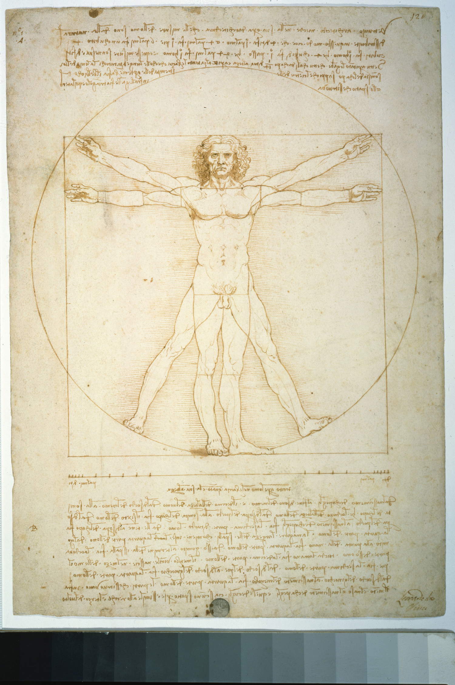 Léonard de Vinci, Étude proportionnelle d'un corps masculin (Homme de Vitruve) (1498 ; pointe d'argent, plume et encre, encre diluée sur papier, 345 x 246 mm ; Venise, Gallerie dell'Accademia, inv. 228r) Crédit : Gallerie dell'Accademia, Venise