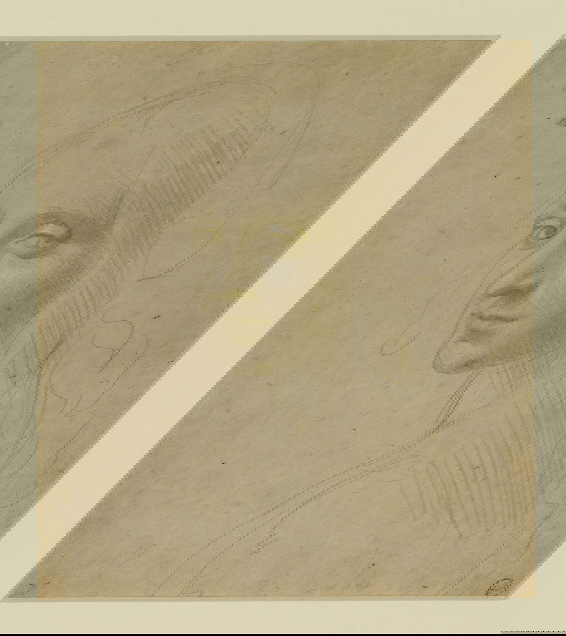 Leonardo da Vinci, Volto di fanciulla (studio per l’angelo della Vergine delle rocce) (1478-1485 circa; punta metallica e lumeggiature di biacca su carta preparata, 18,2x16 cm). Su concessione del Mic - Musei Reali, Biblioteca Reale.