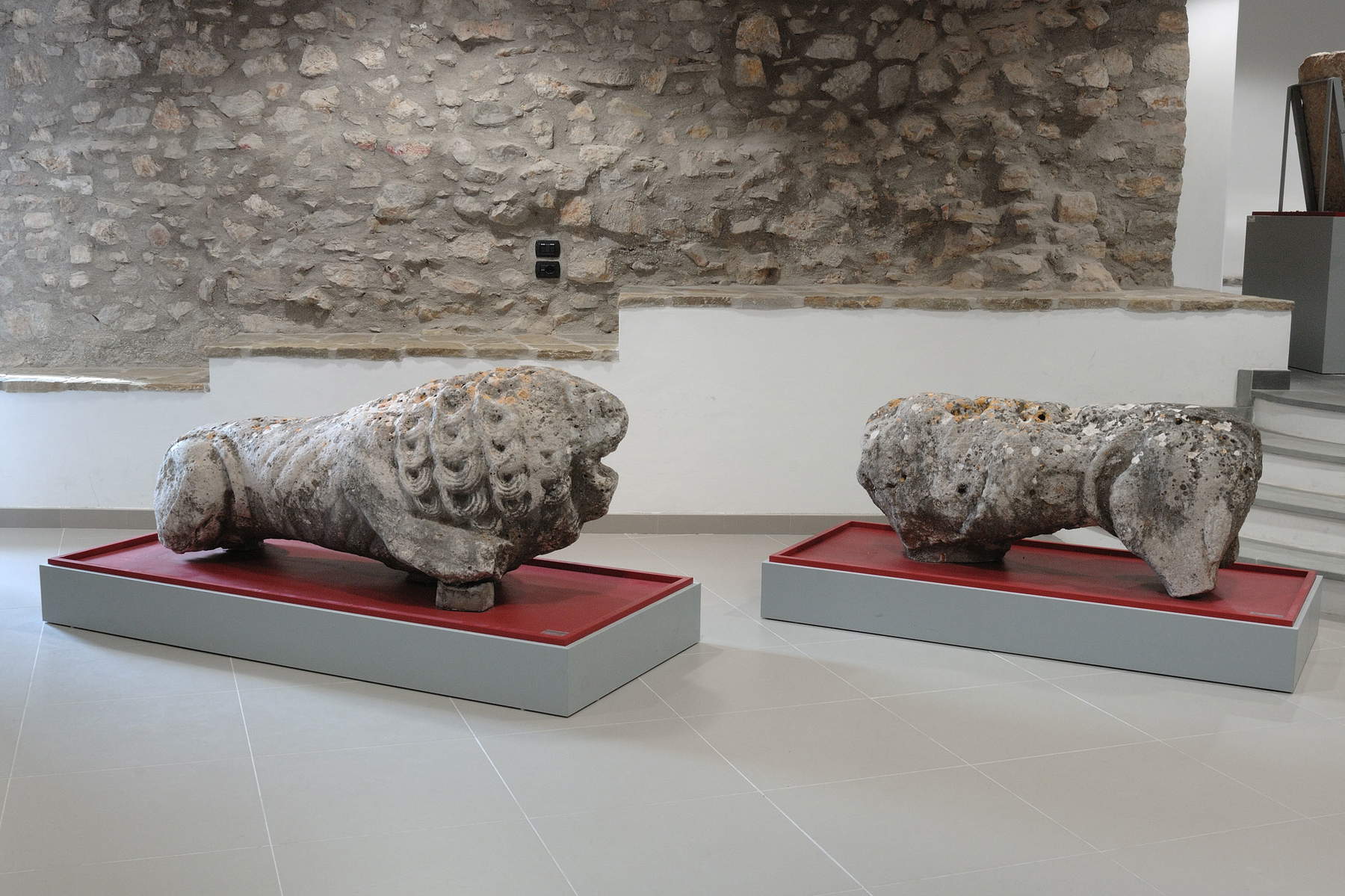 Corciano lions leave village after seven centuries for historic restoration