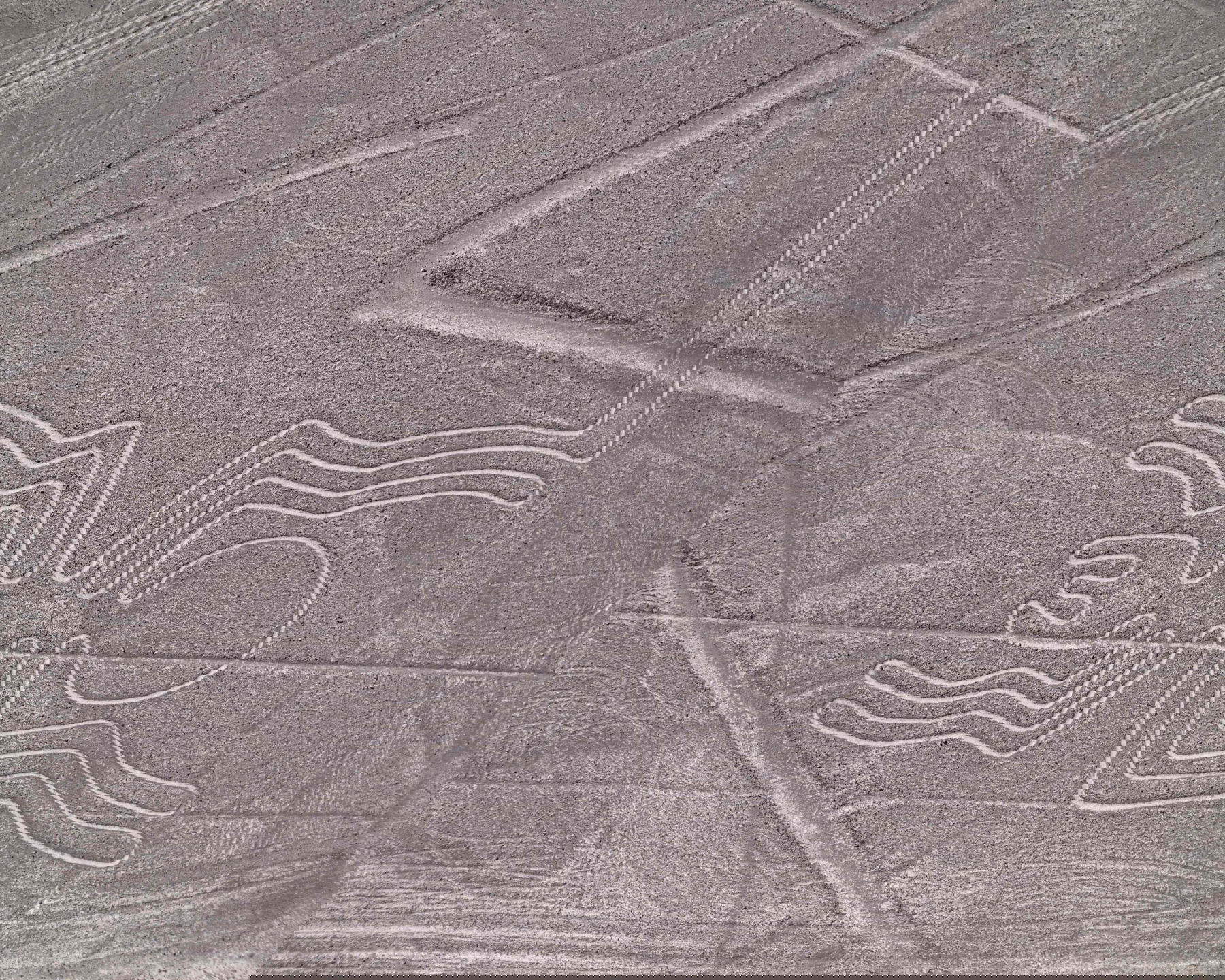 Un ragno è uno dei giganteschi geoglifi, noti come le linee di Nazca, costruiti circa 1600 anni fa a Nazca, nel Perù meridionale. Foto: Ernesto Benavides/AFP/Getty Images