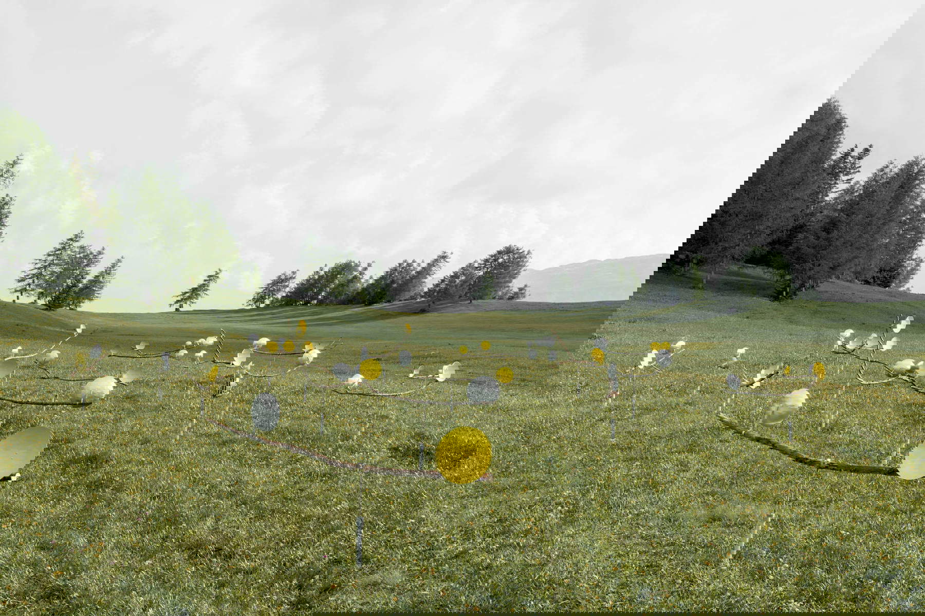 Lola Giuffr&eacute;, Sway