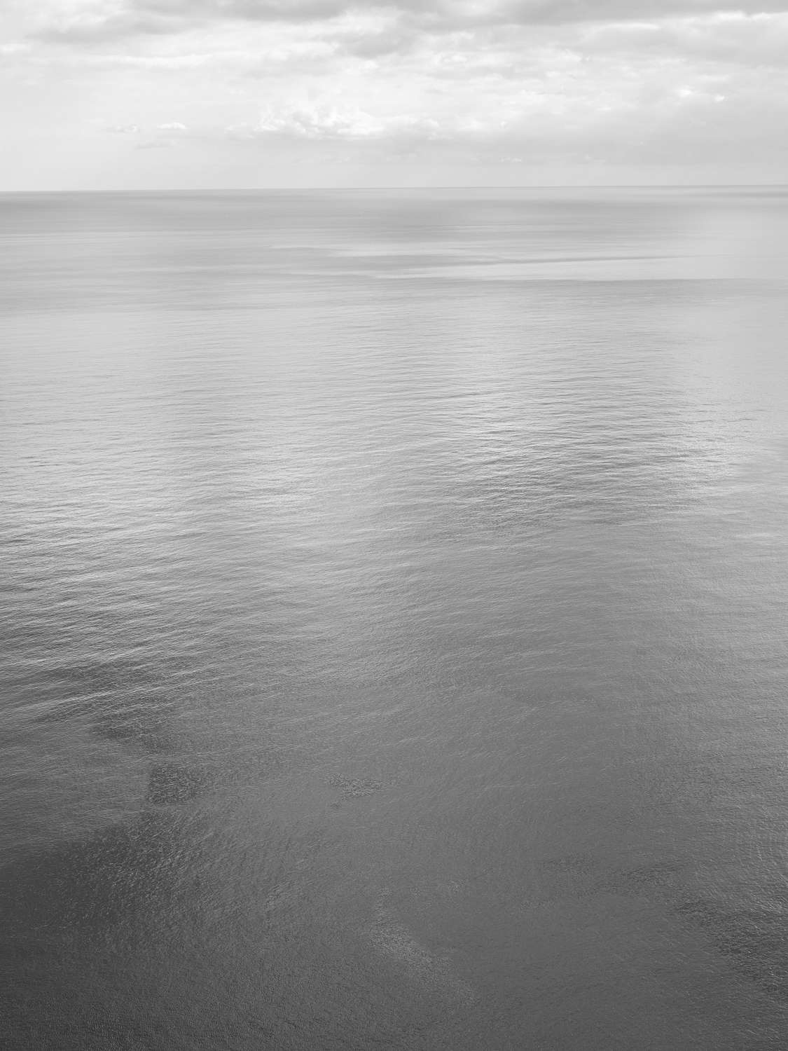 Loredana Nemes, Graubaum und Himmelmeer (2019&ndash;2023)