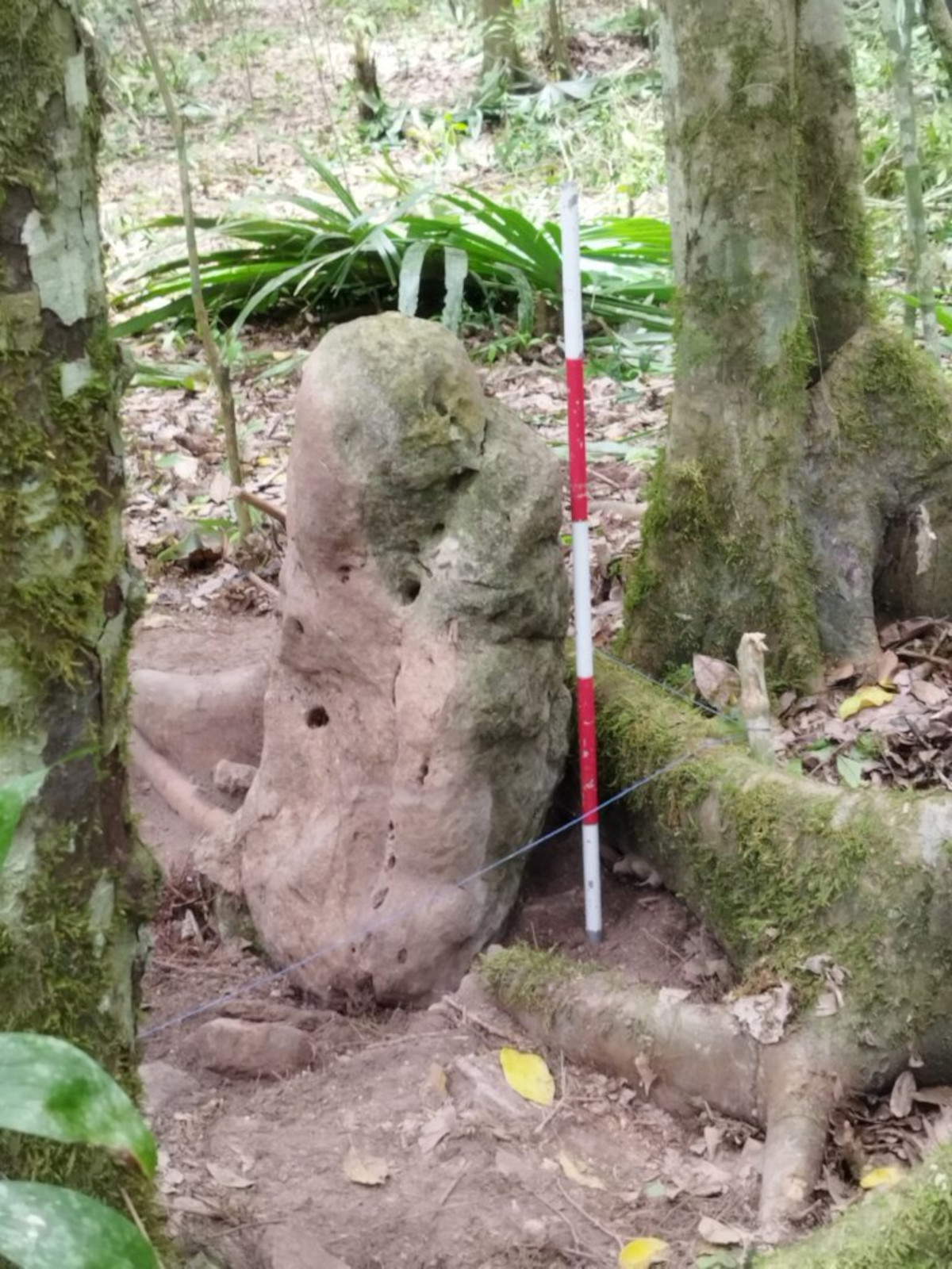 Due sculture antropomorfe di una coppia ancestrale trovate a Los Abuelos, in Guatemala. Su concessione del Ministero della Cultura e dello sport del Guatemala.