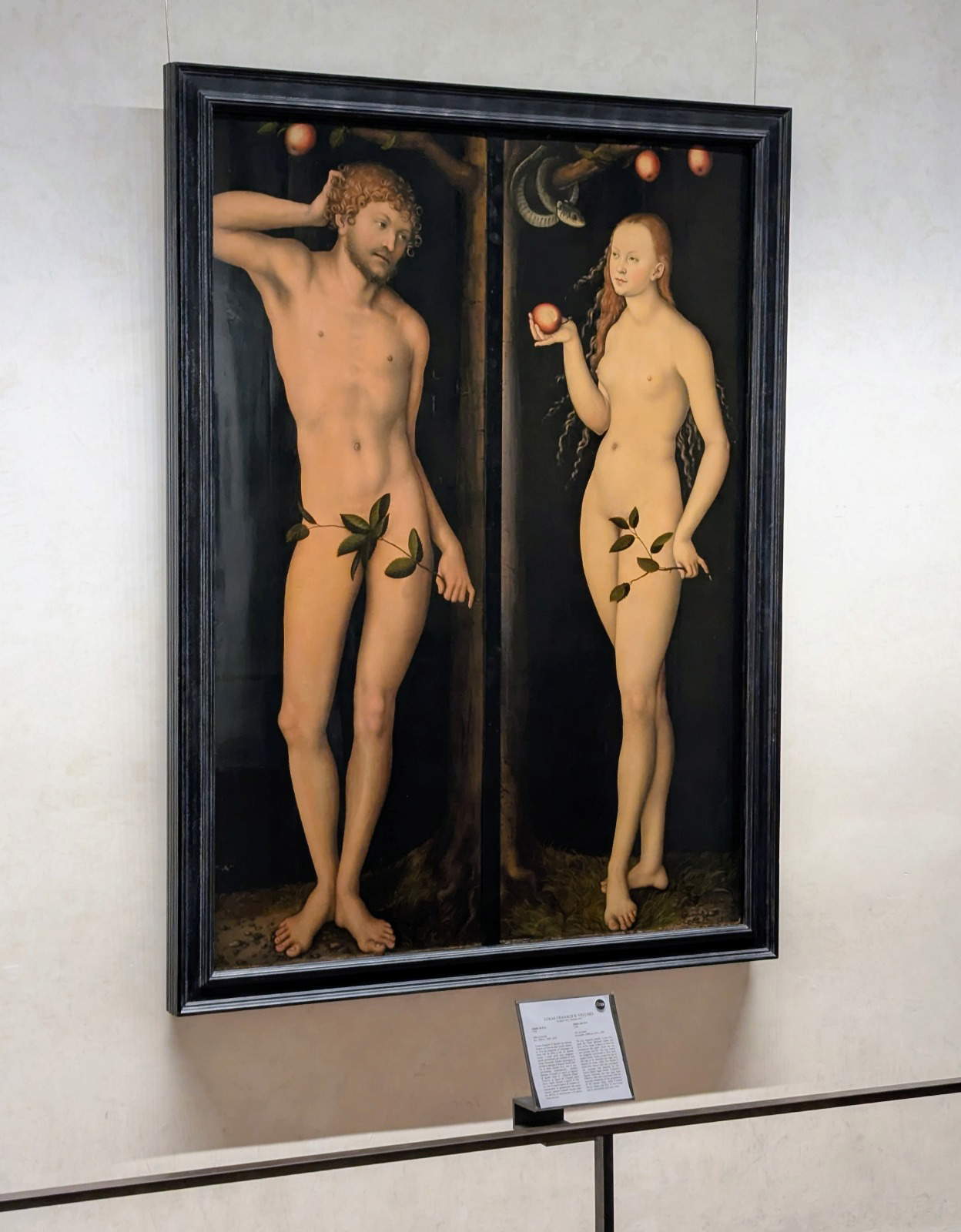 Lucas Cranach's two plates in a single frame Lucas Cranach's two plates in a single frame
