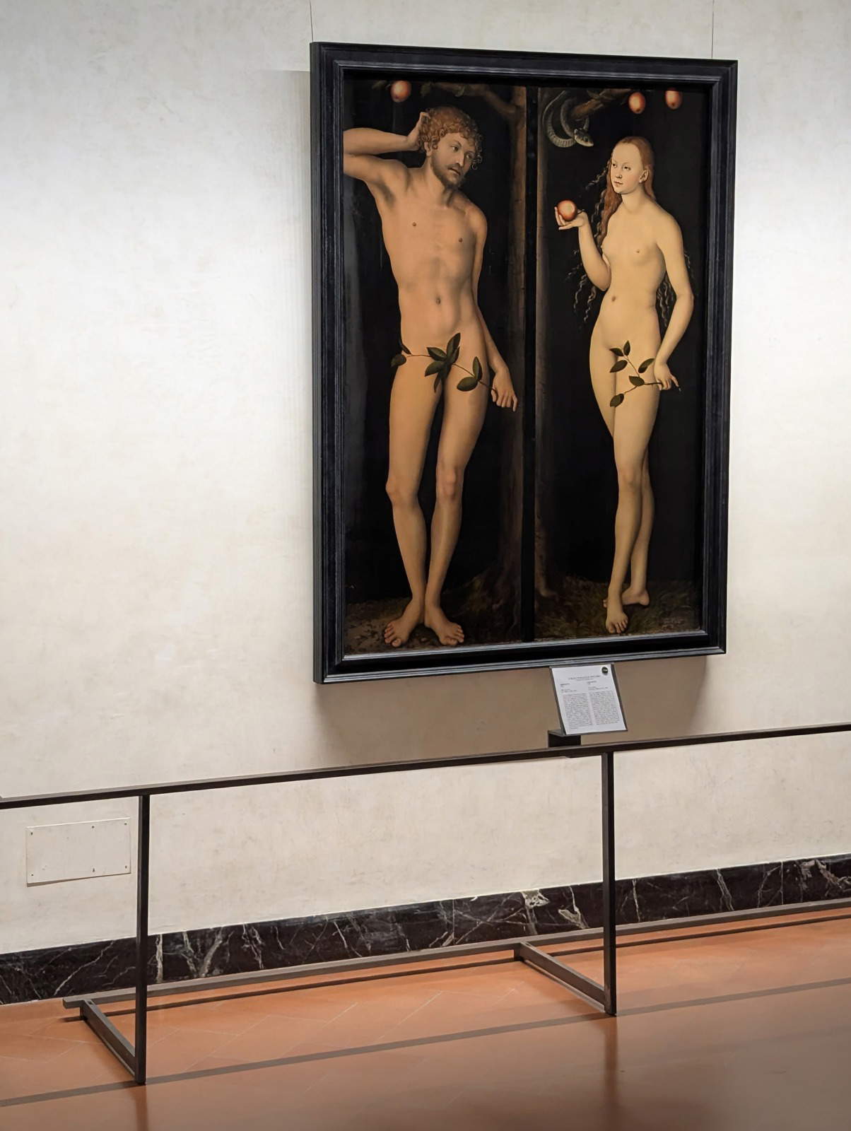 Lucas Cranach's two plates in a single frame Lucas Cranach's two plates in a single frame